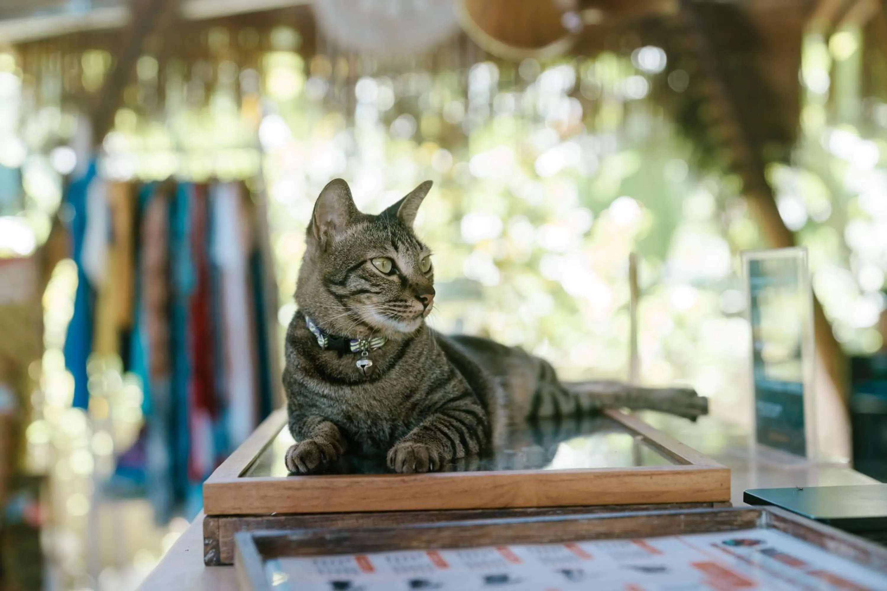 Coco Verde Bali Resort