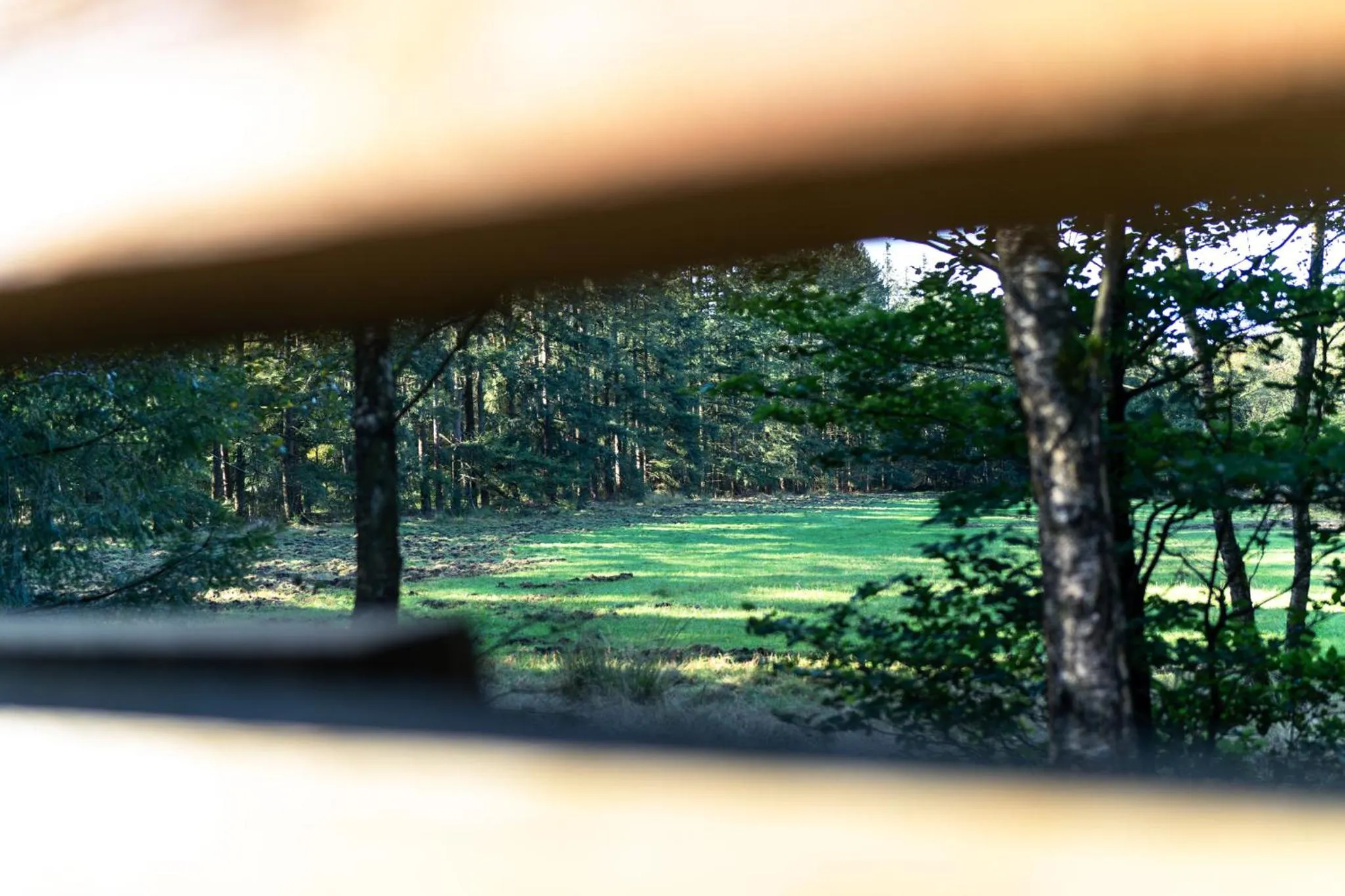 Activities in Hotel Restaurant de Loenermark