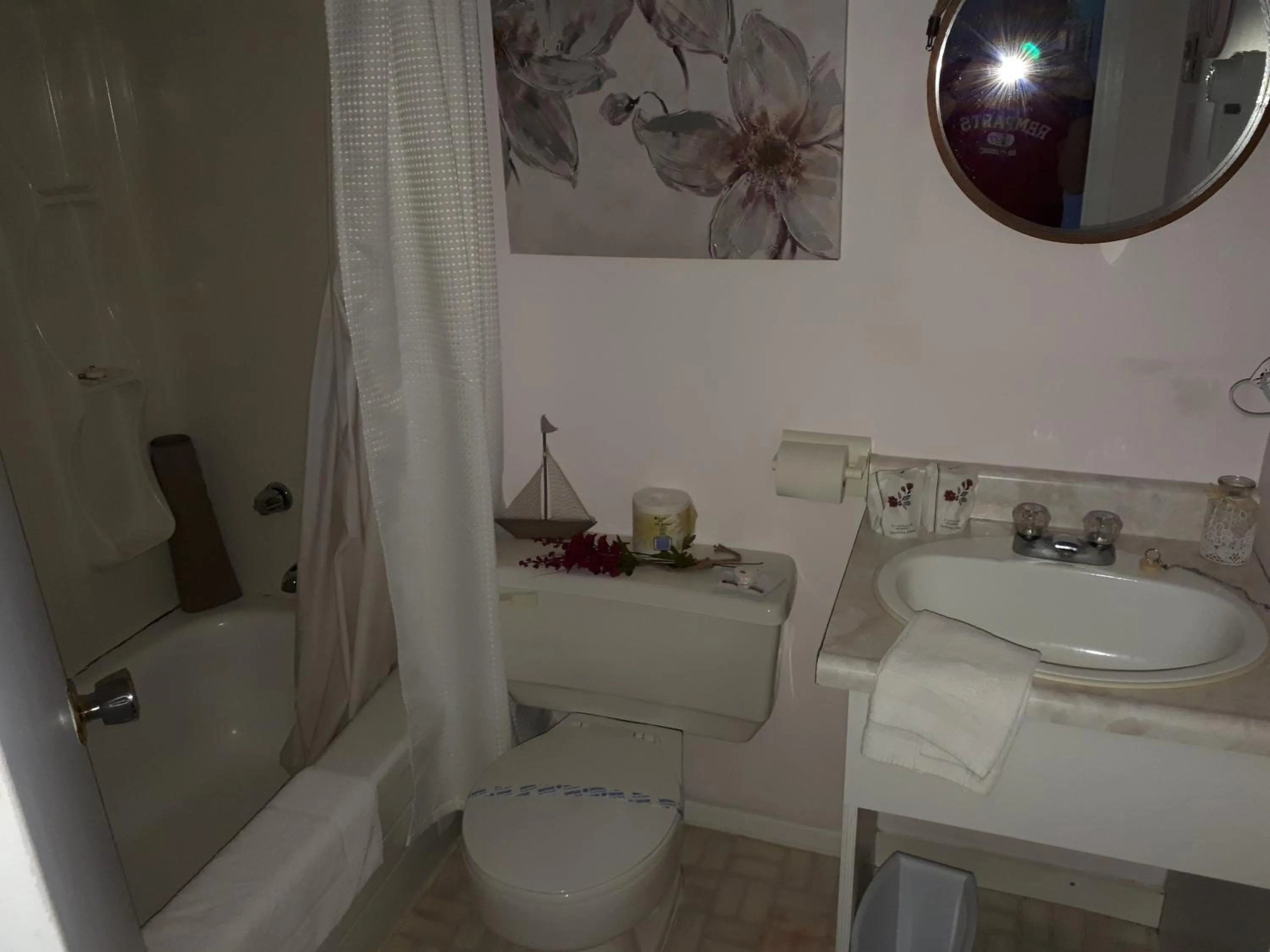 Bathroom in hotel au vieux bardeau