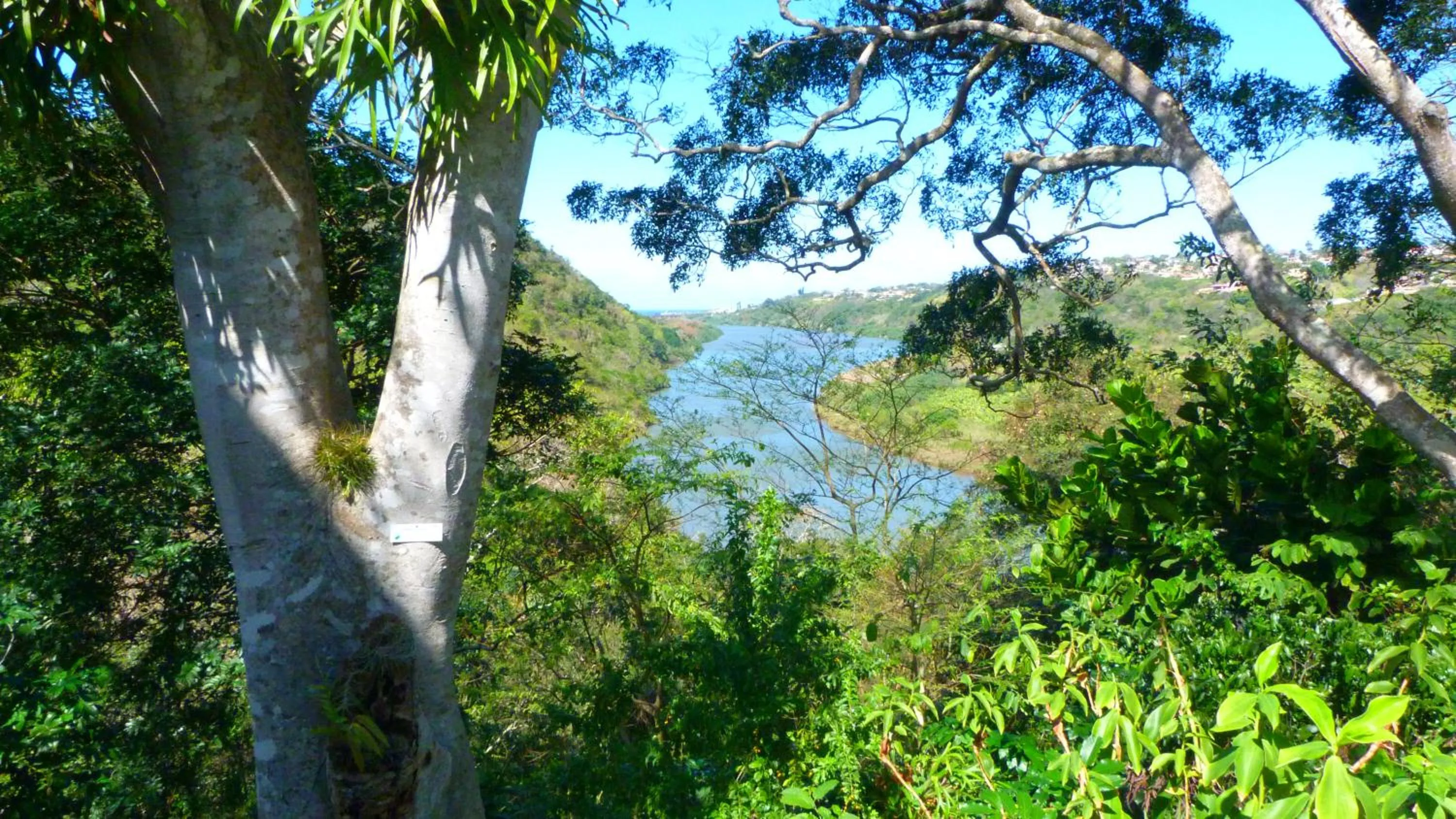 Natural landscape in Royston Hall Historical Guesthouse