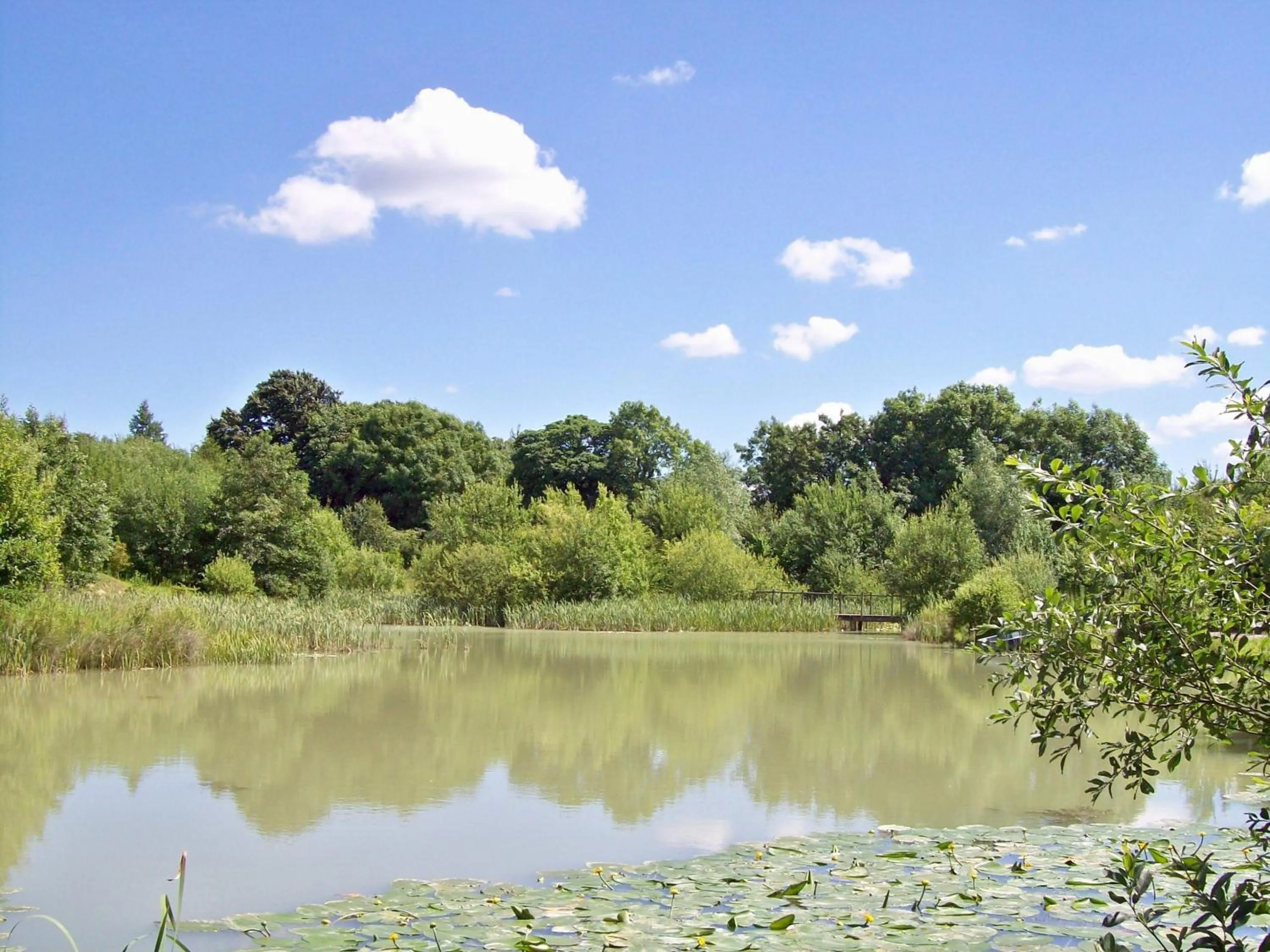 Garden in Greenbanks Hotel Norfolk
