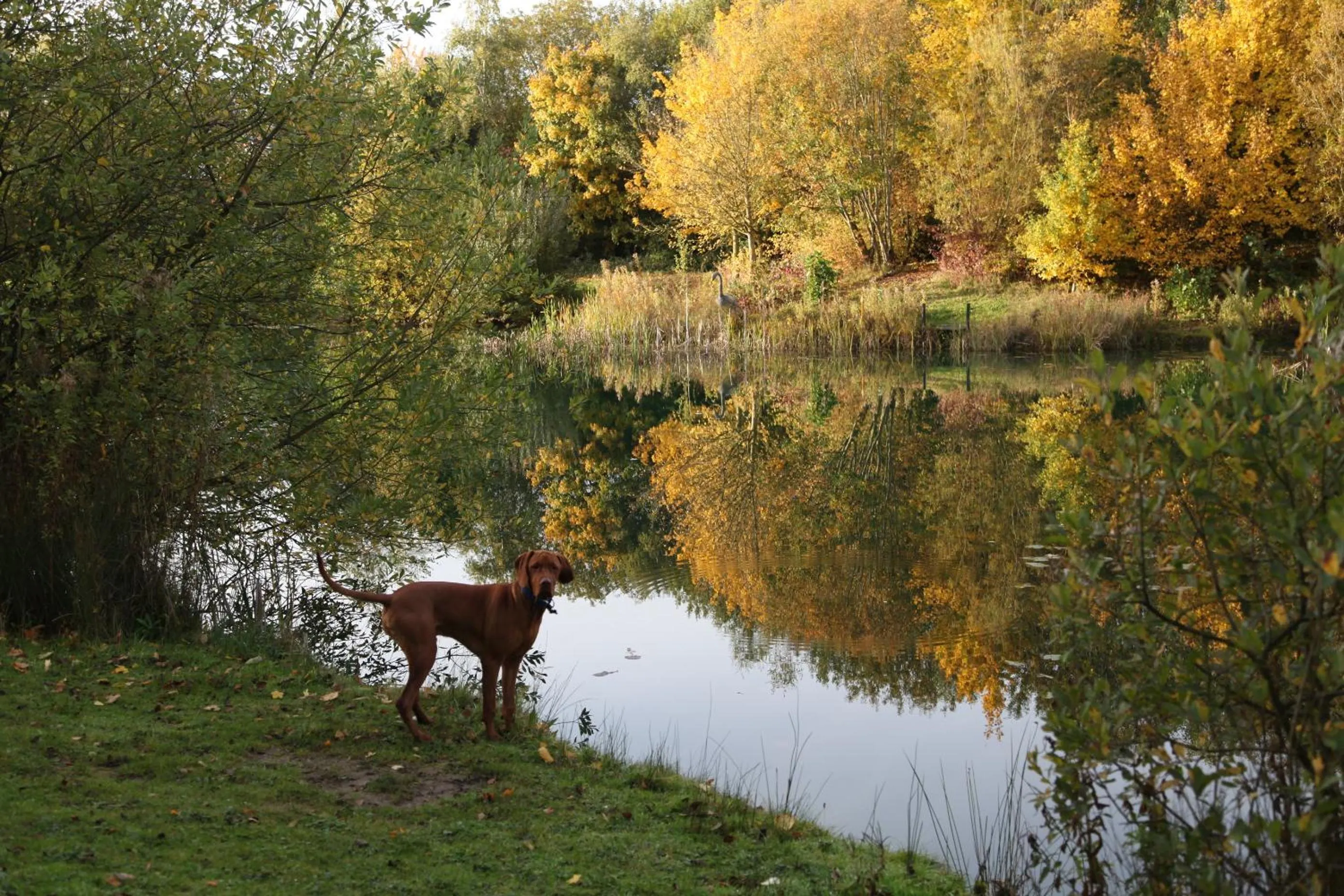 Autumn in Greenbanks Hotel Norfolk