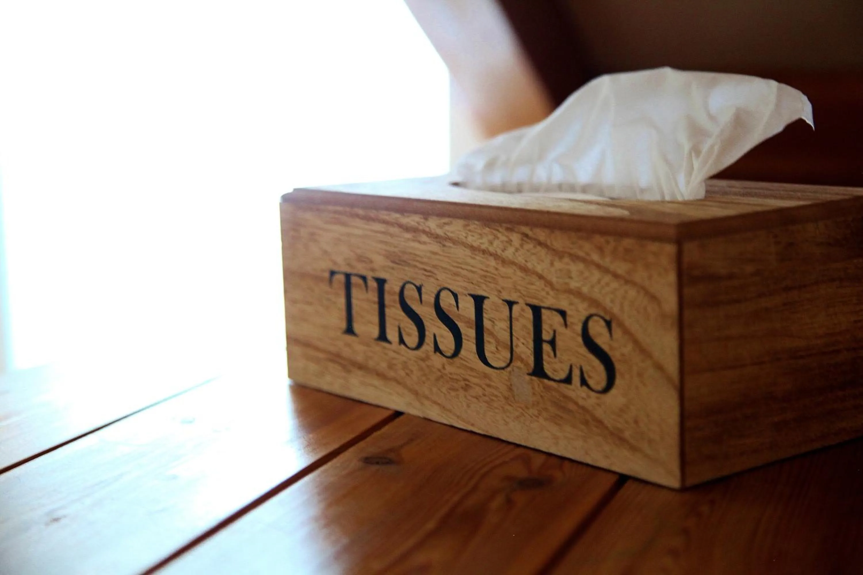 Area and facilities in Greenbanks Hotel Norfolk