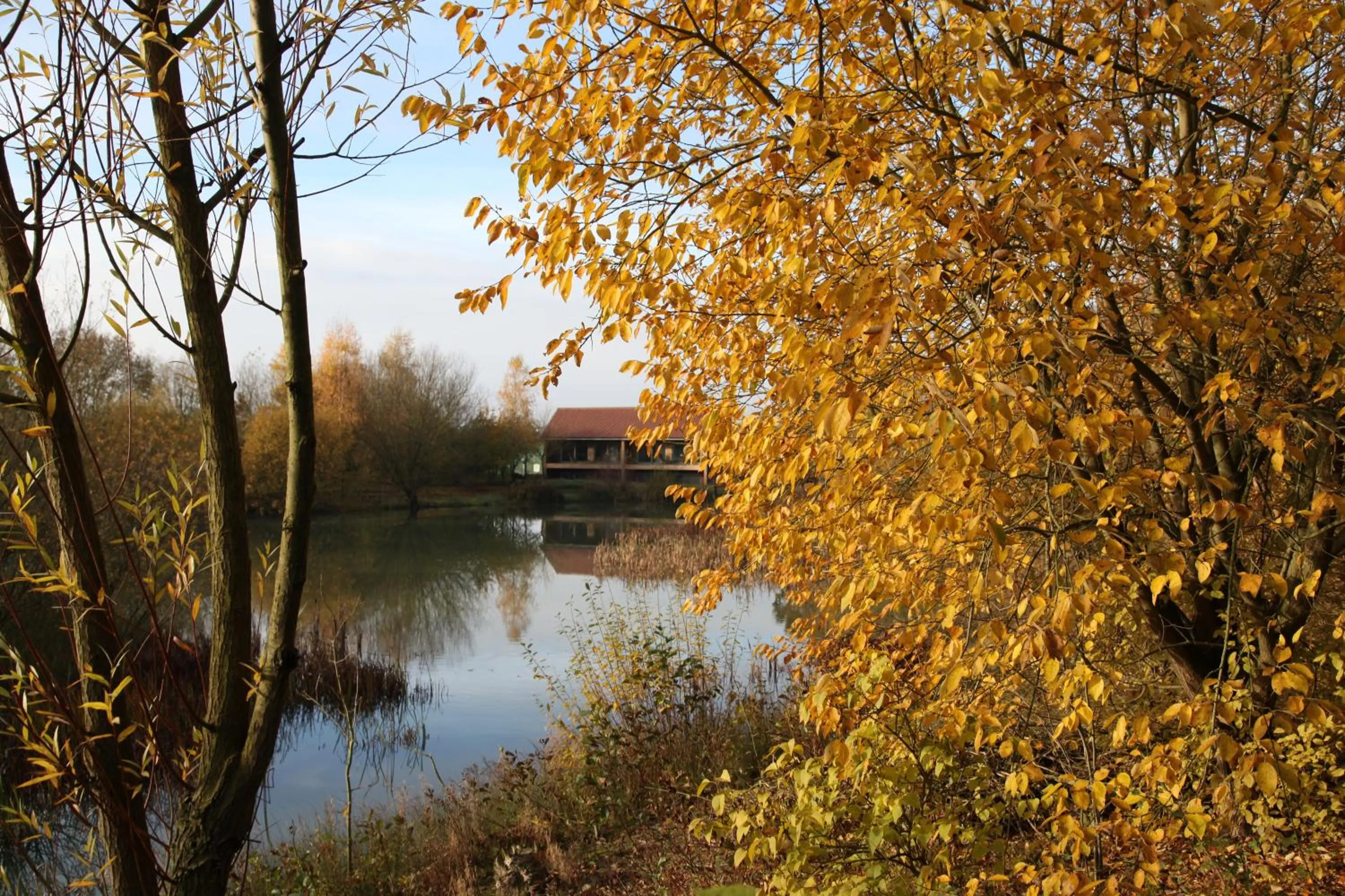 Fishing in Greenbanks Hotel Norfolk