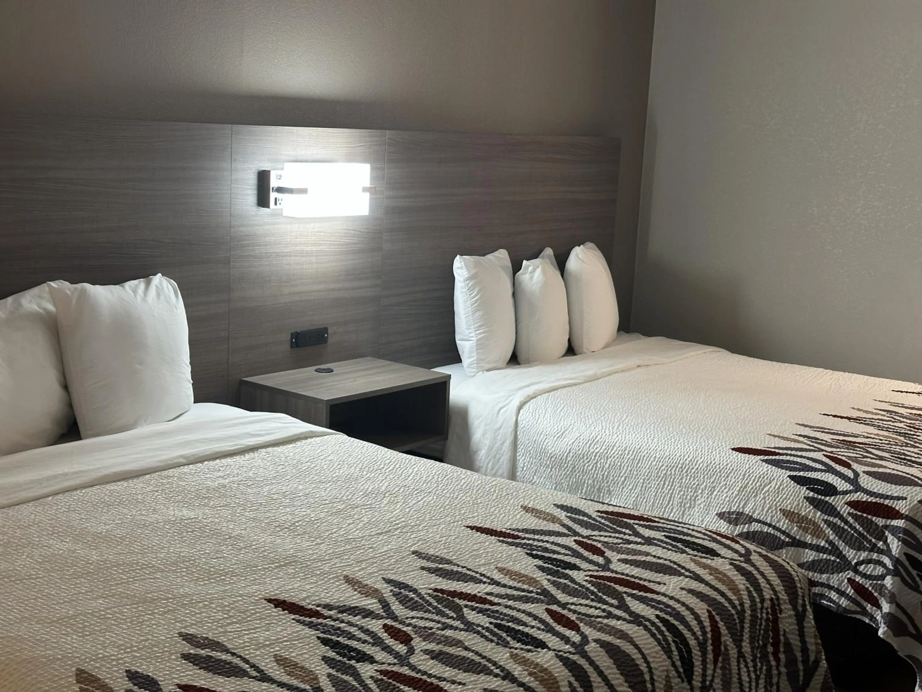 Bedroom, Bed in Red Roof Inn & Suites Middleborough