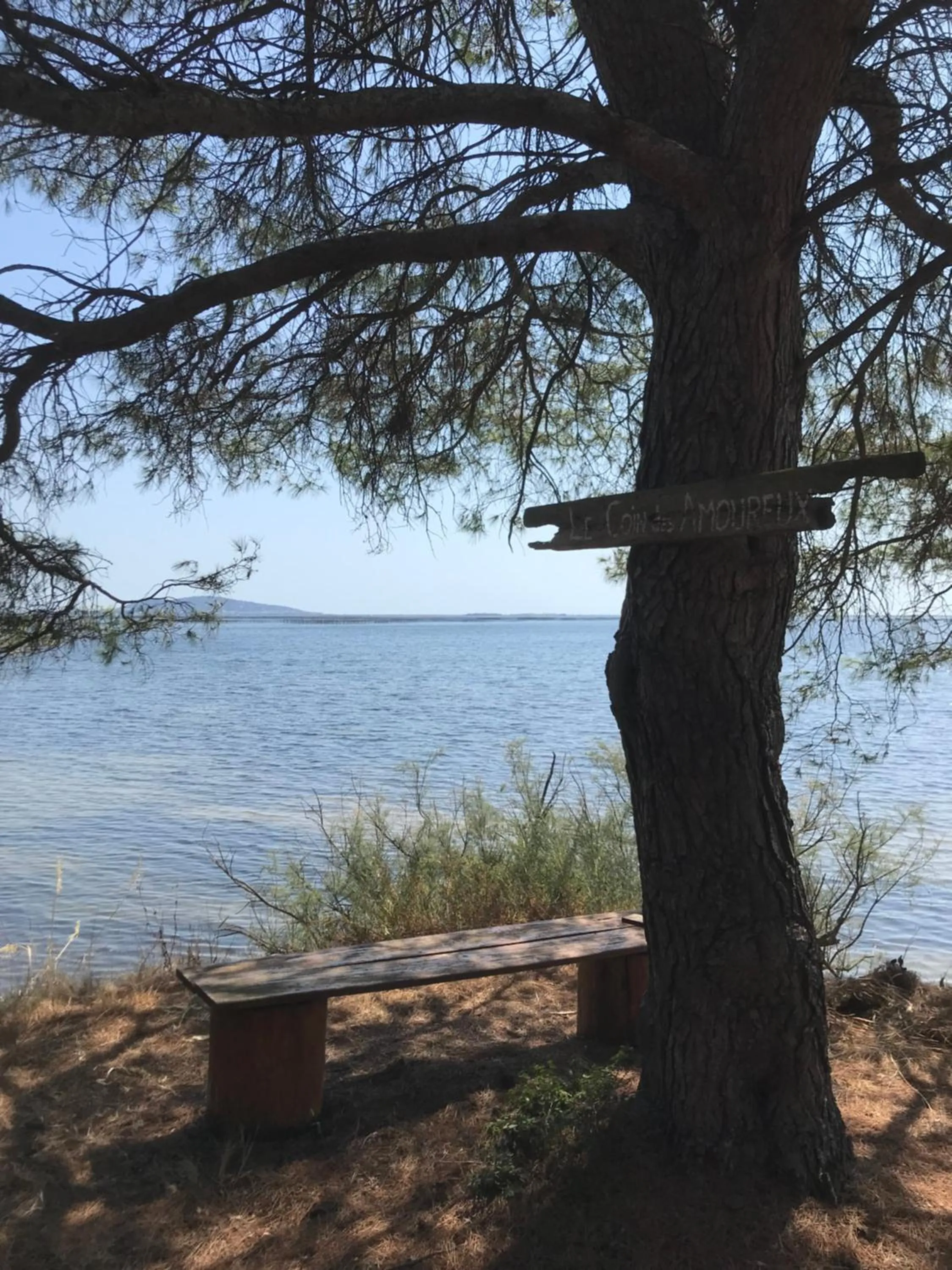 Sea view in Au bord de Thau