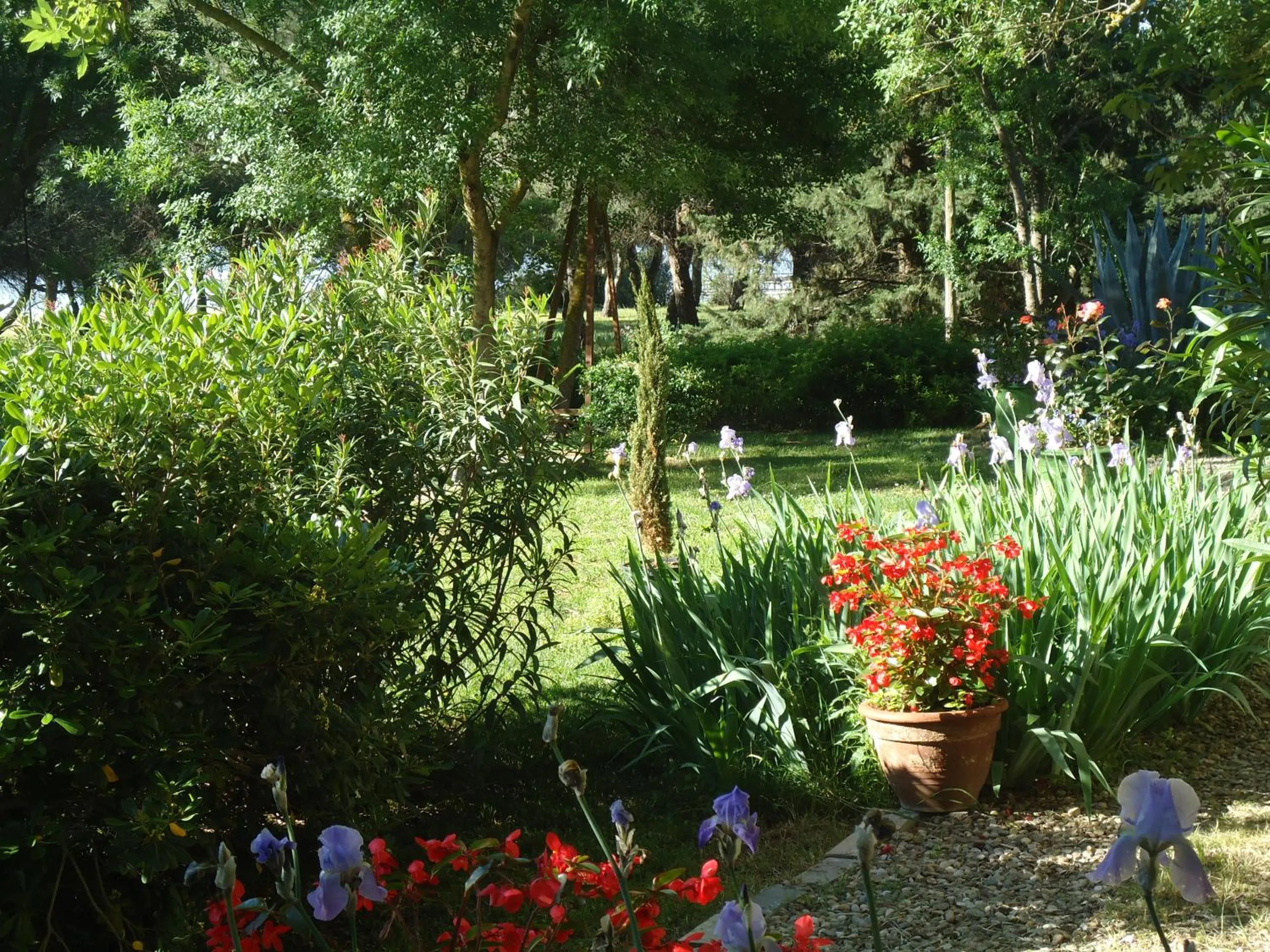 Garden in Au bord de Thau