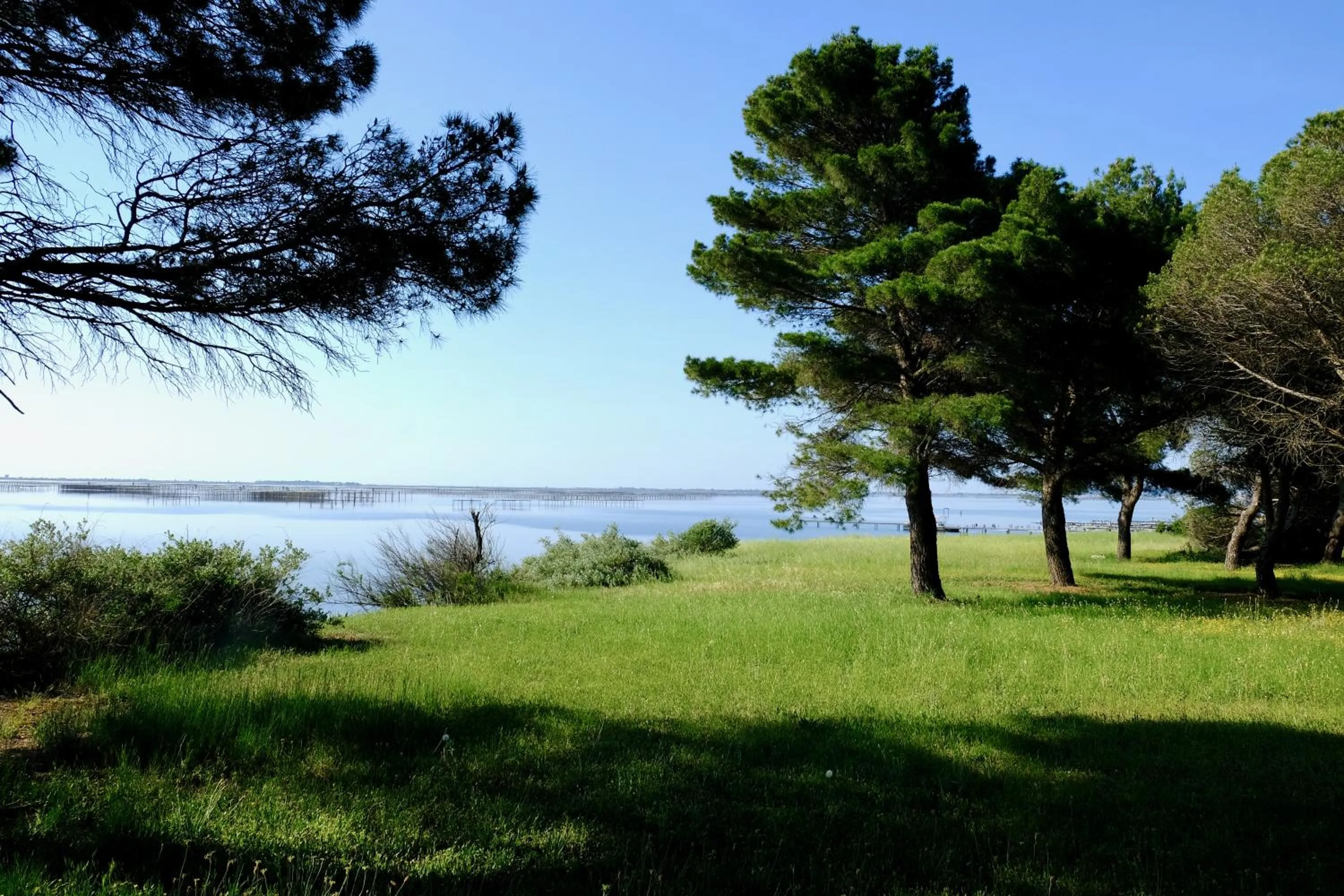 Sea view in Au bord de Thau
