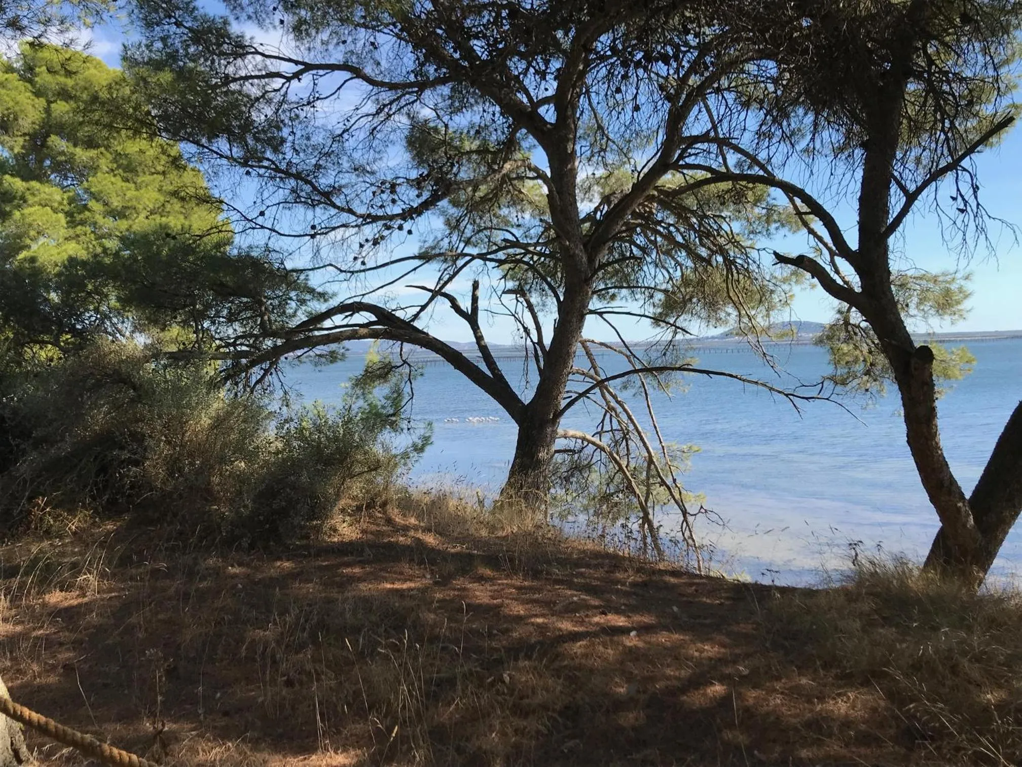 Natural landscape in Au bord de Thau