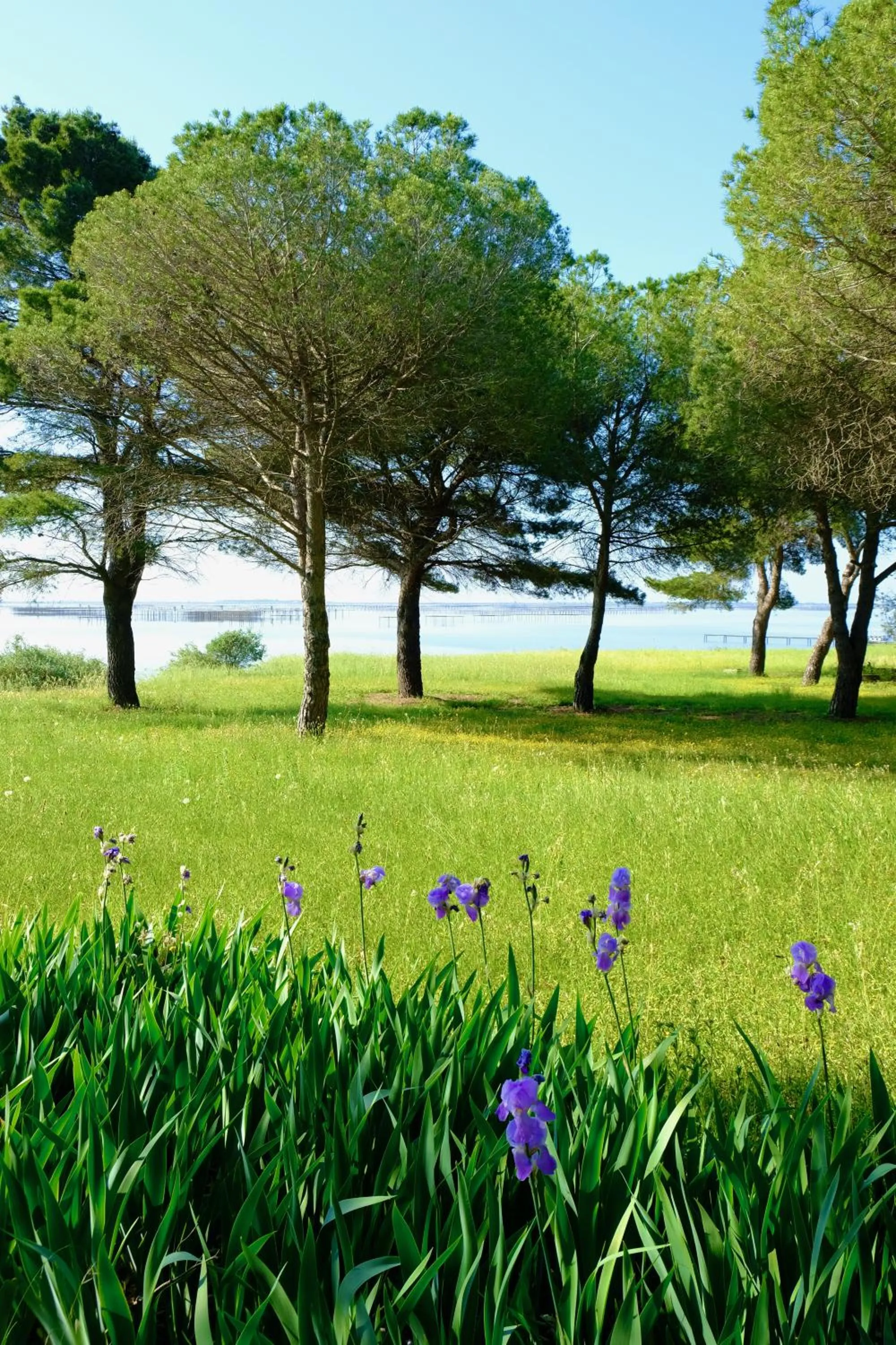 Garden in Au bord de Thau