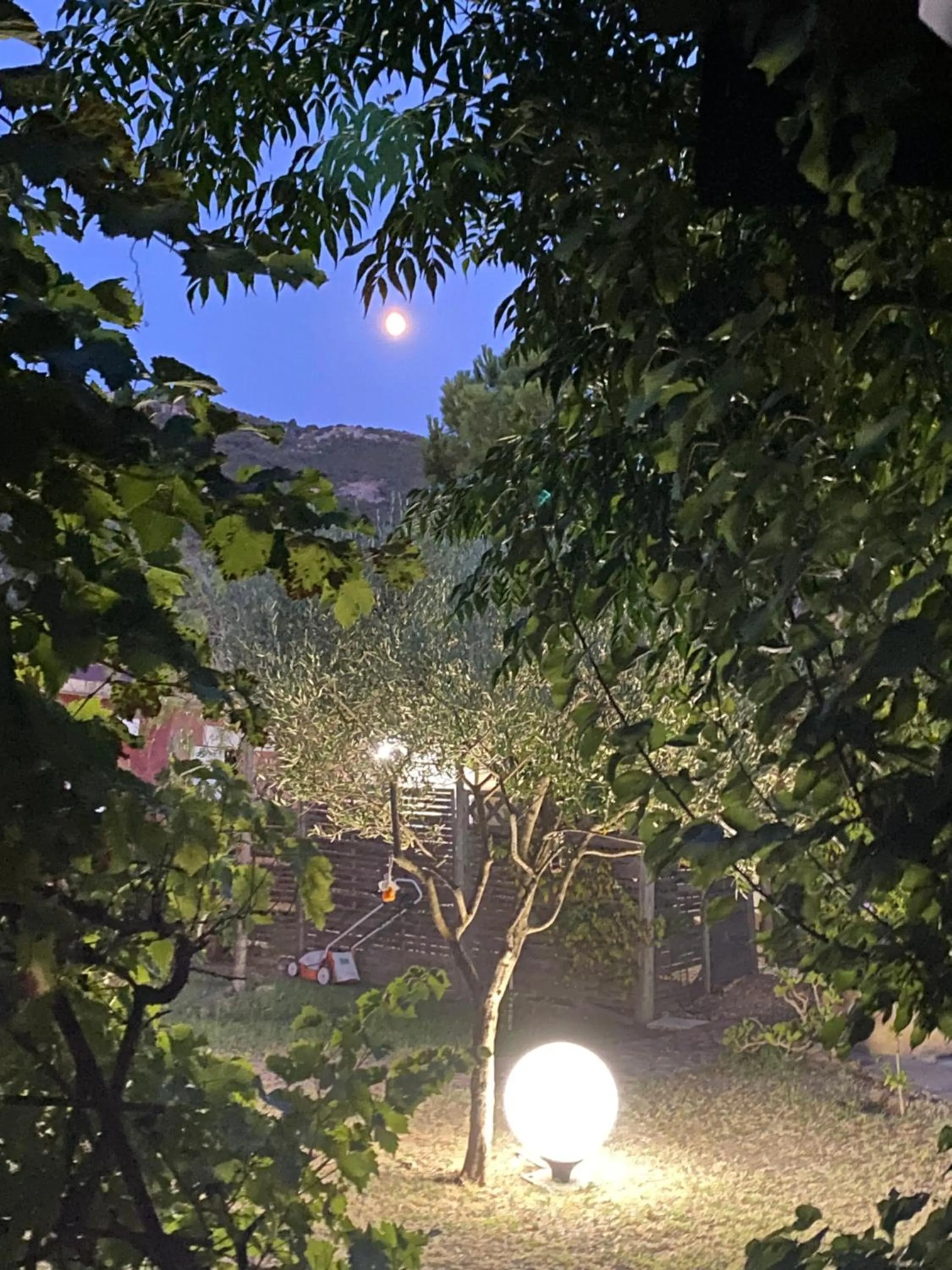 Garden in Casa di Floumy