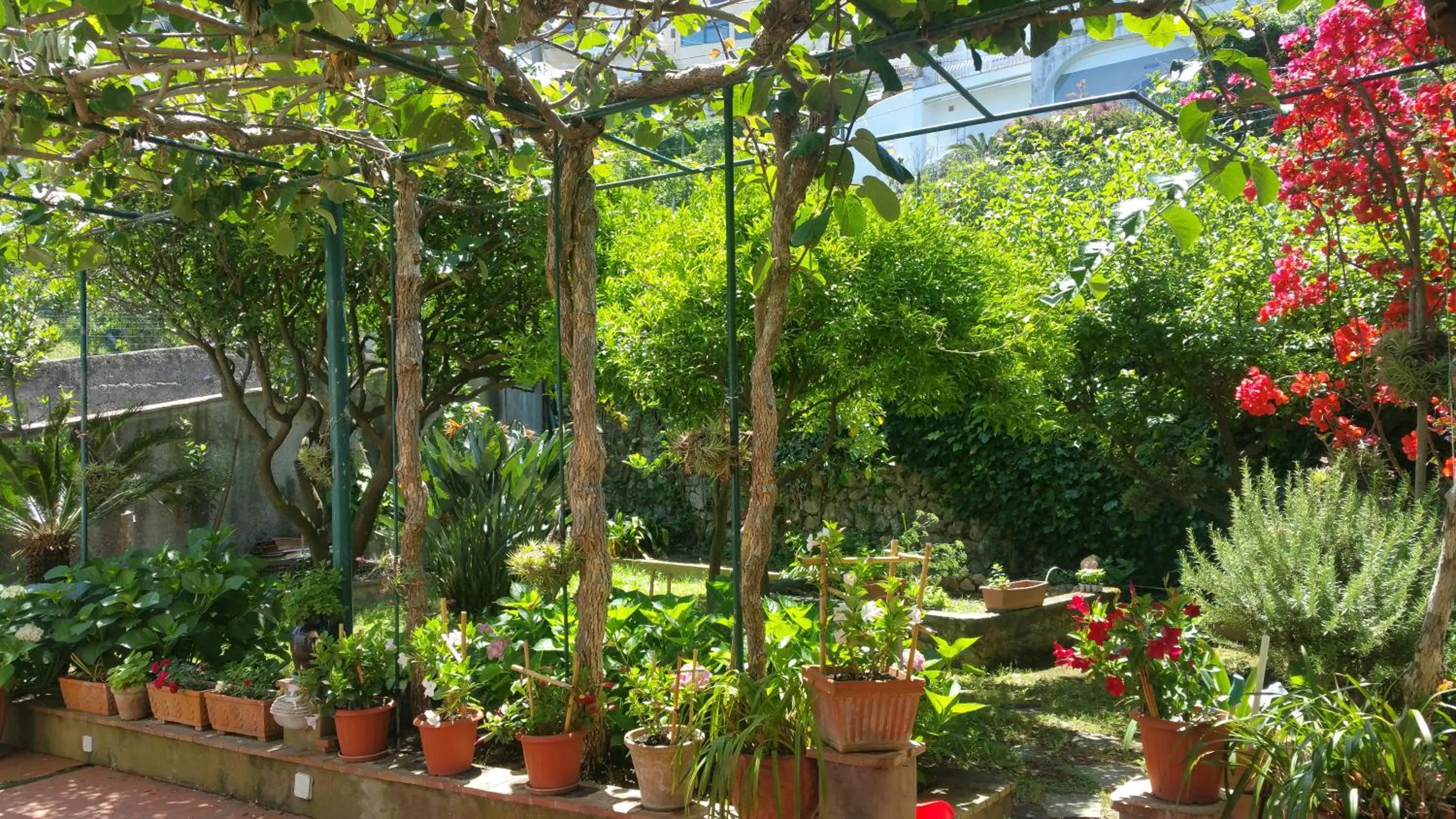 Garden in Villa dei fiori B&B