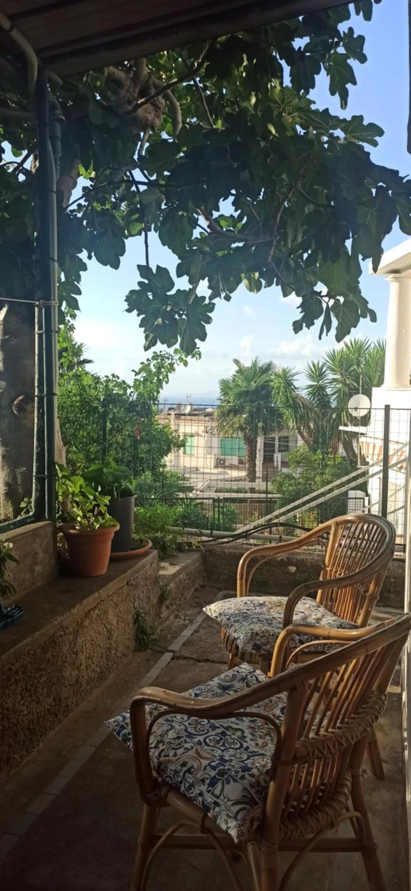 Patio in Villa dei fiori B&B