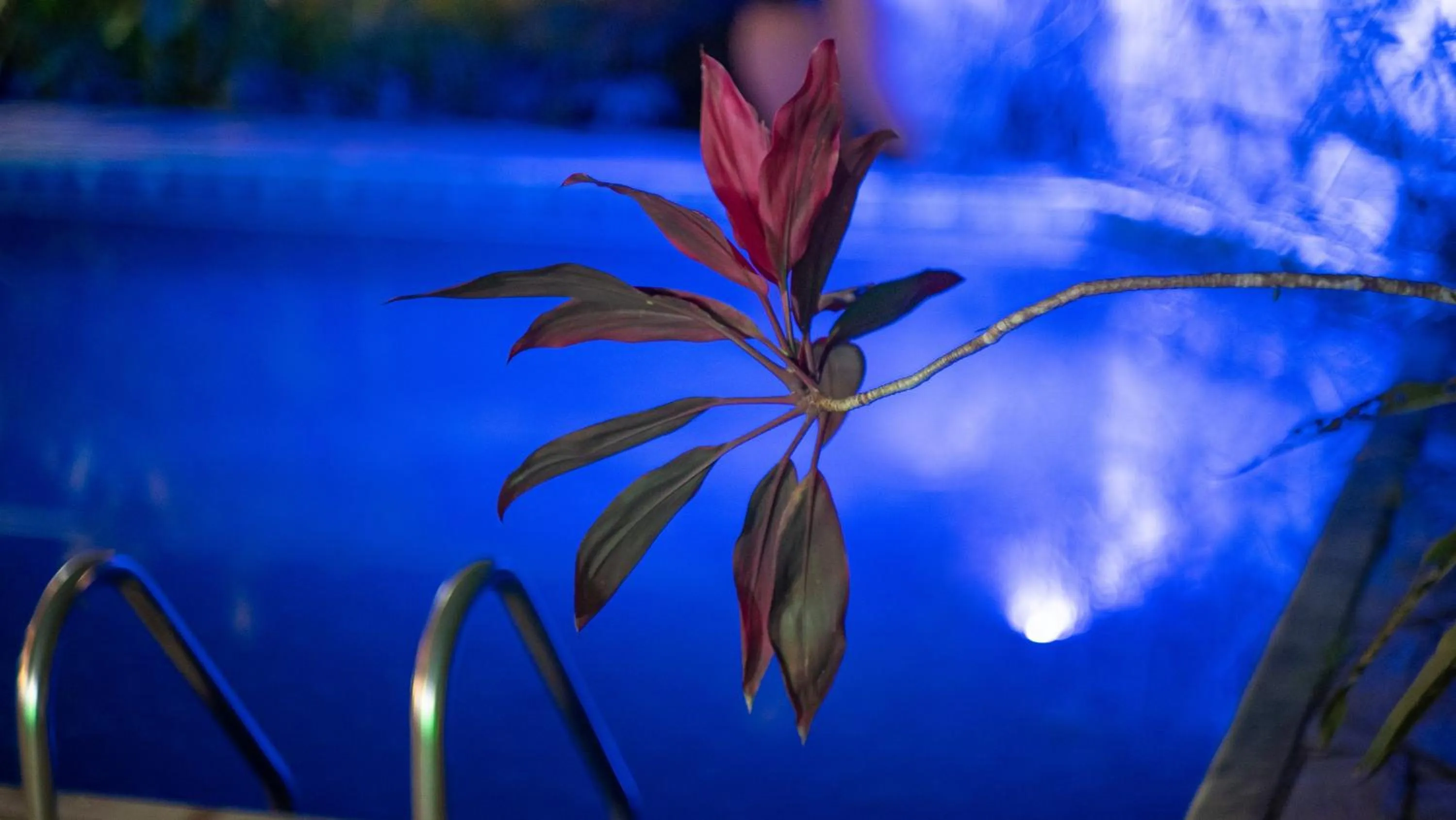 Swimming pool in Pousada Canoa Caiçara Ilhabela