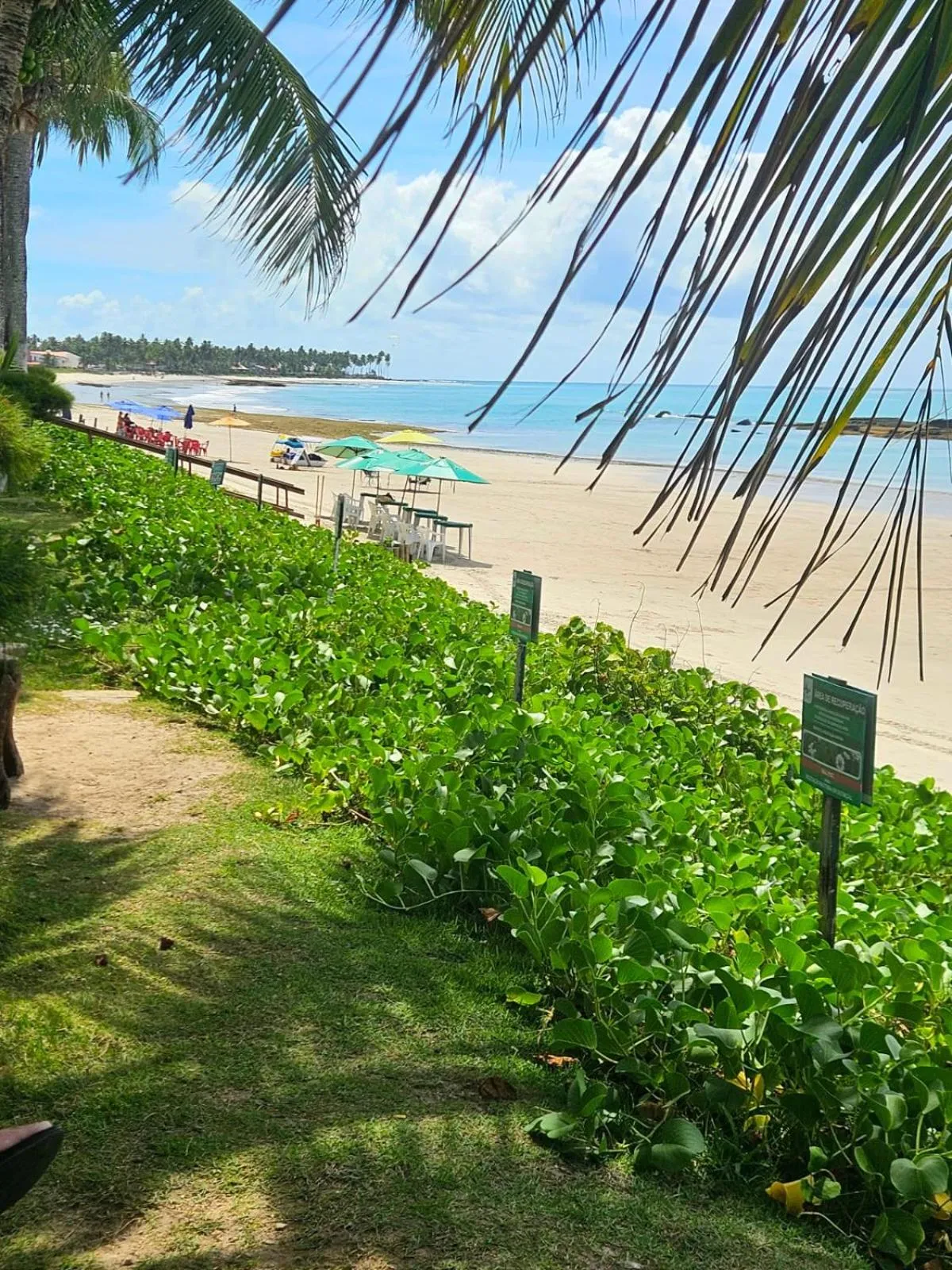 Natural landscape in Apartamentos Hotel Marinas