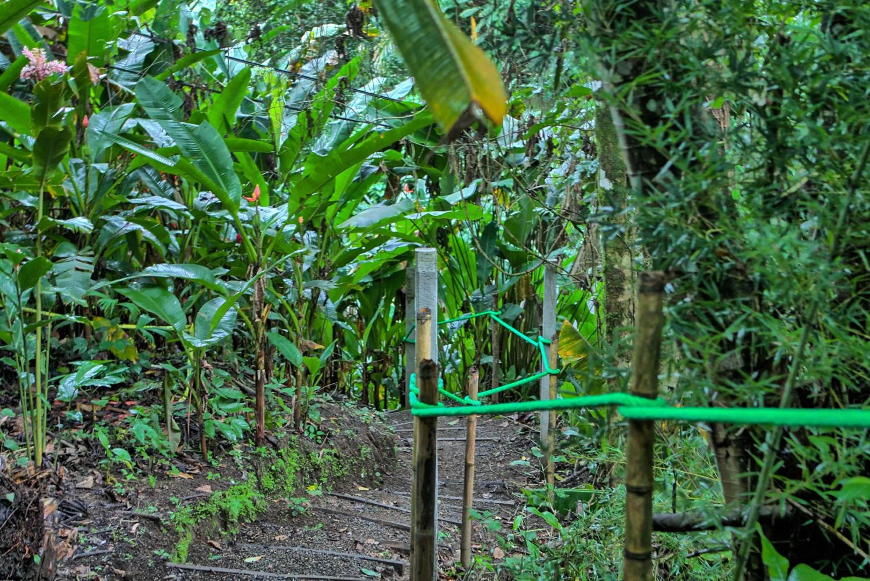 Hiking in Hotel Mountain Paradise