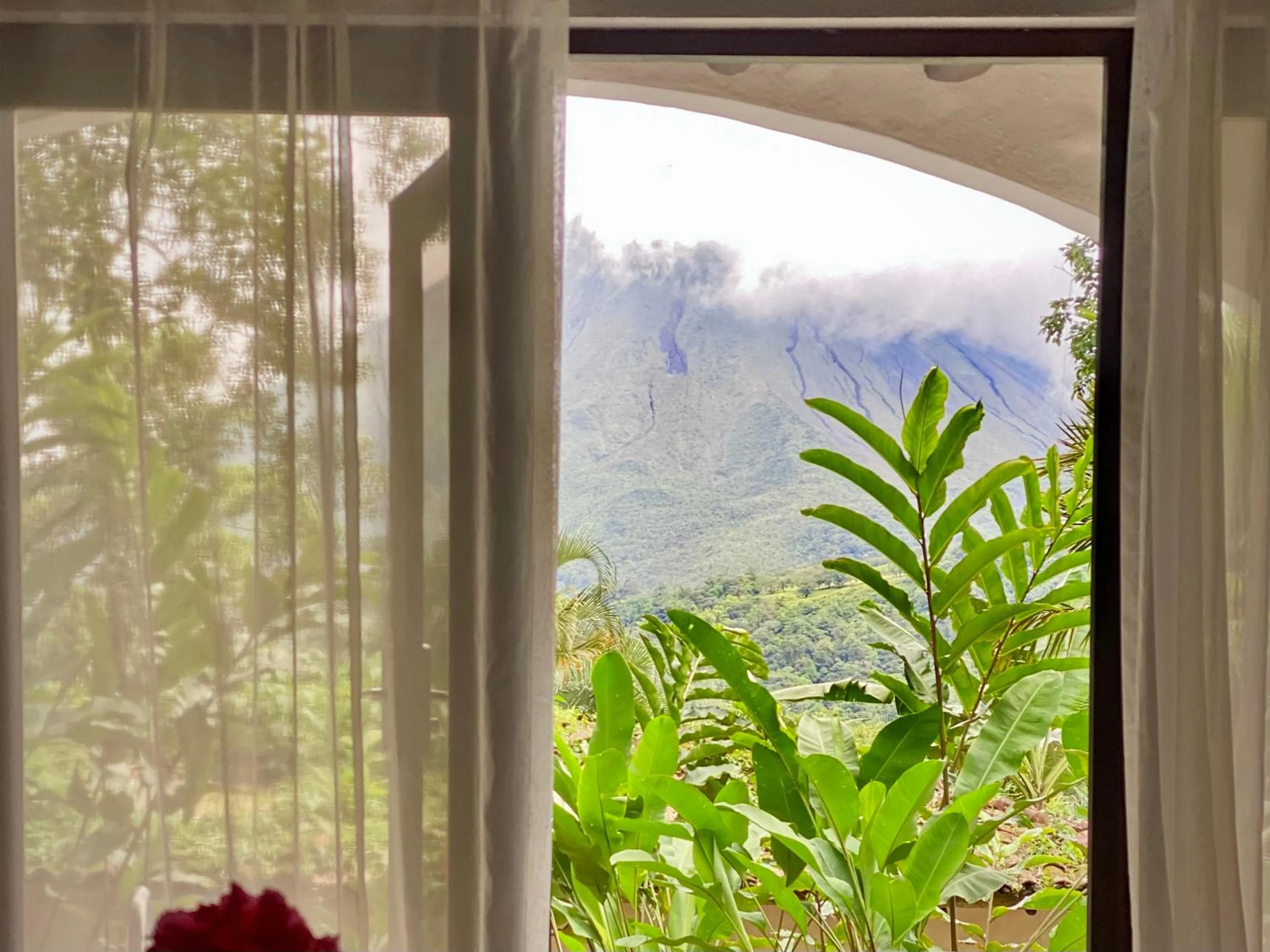 Garden view in Hotel Mountain Paradise