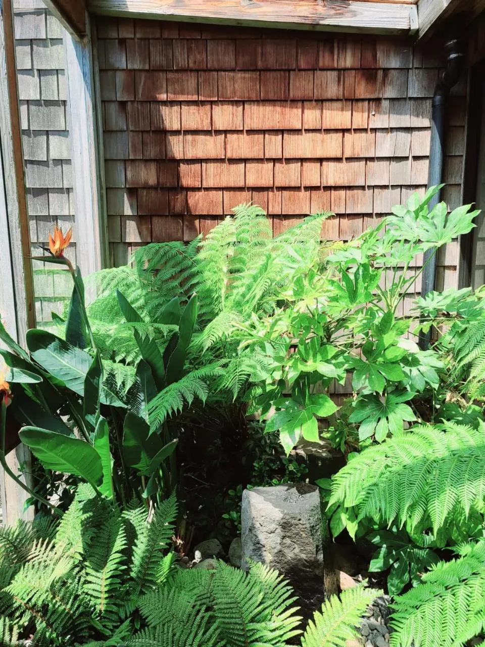 Property building in Embarcadero Resort