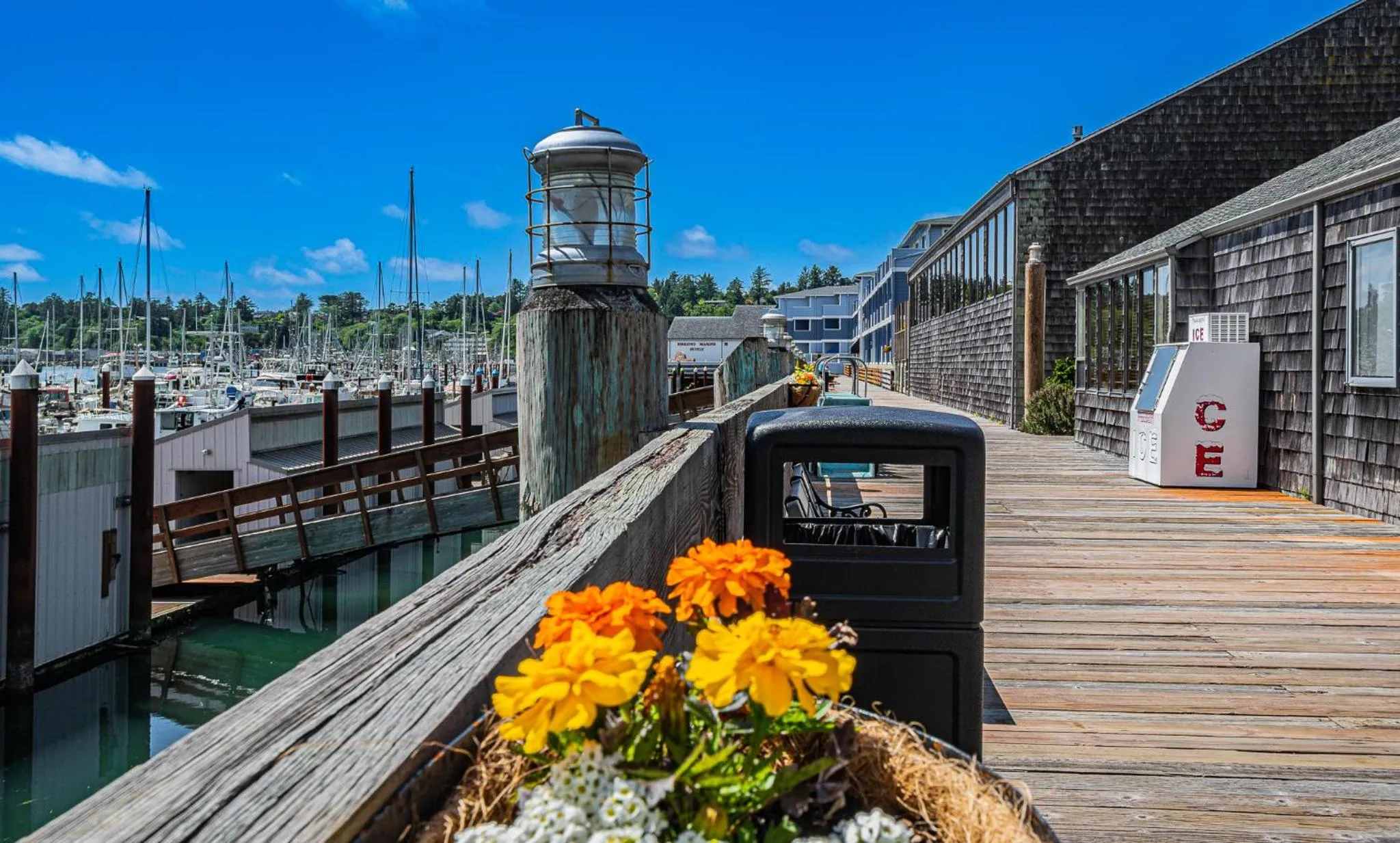 Natural landscape in Embarcadero Resort
