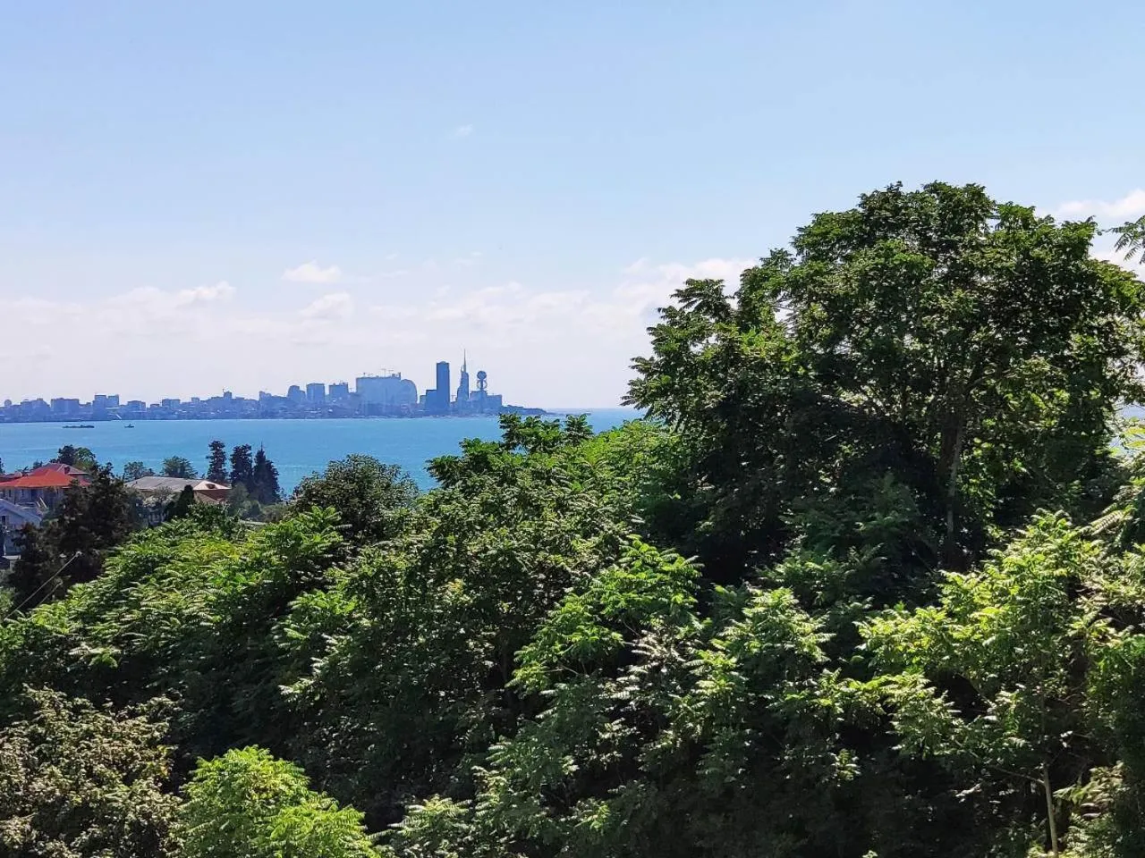 Natural landscape in Green Line