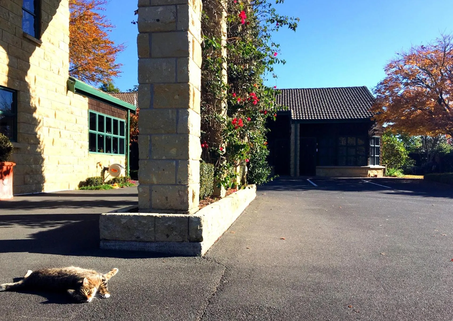 Property building in Cambridge Mews Motel