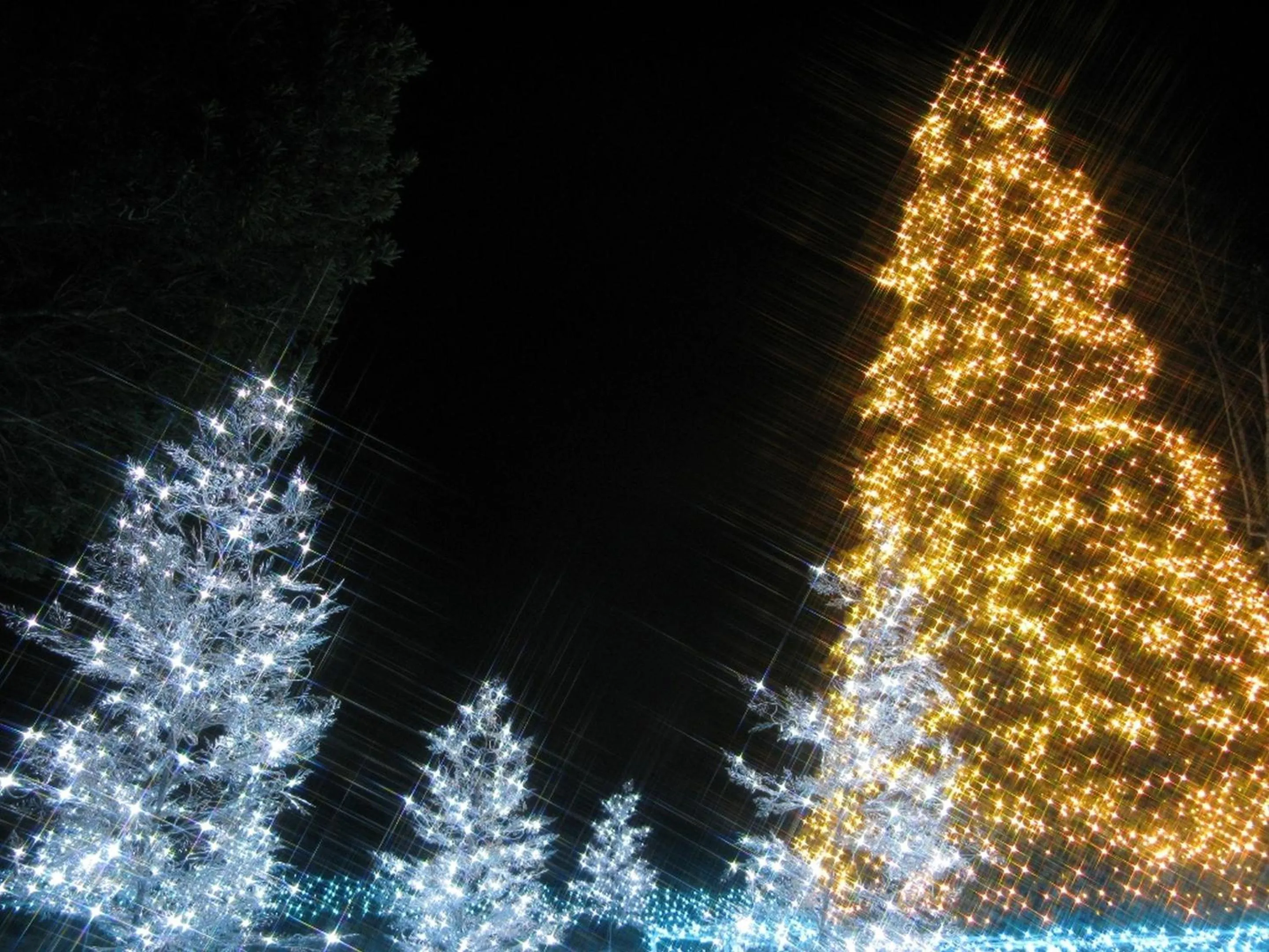 Activities in KOKO STAY Sagamihara - formerly Hotel Wing International Sagamihara