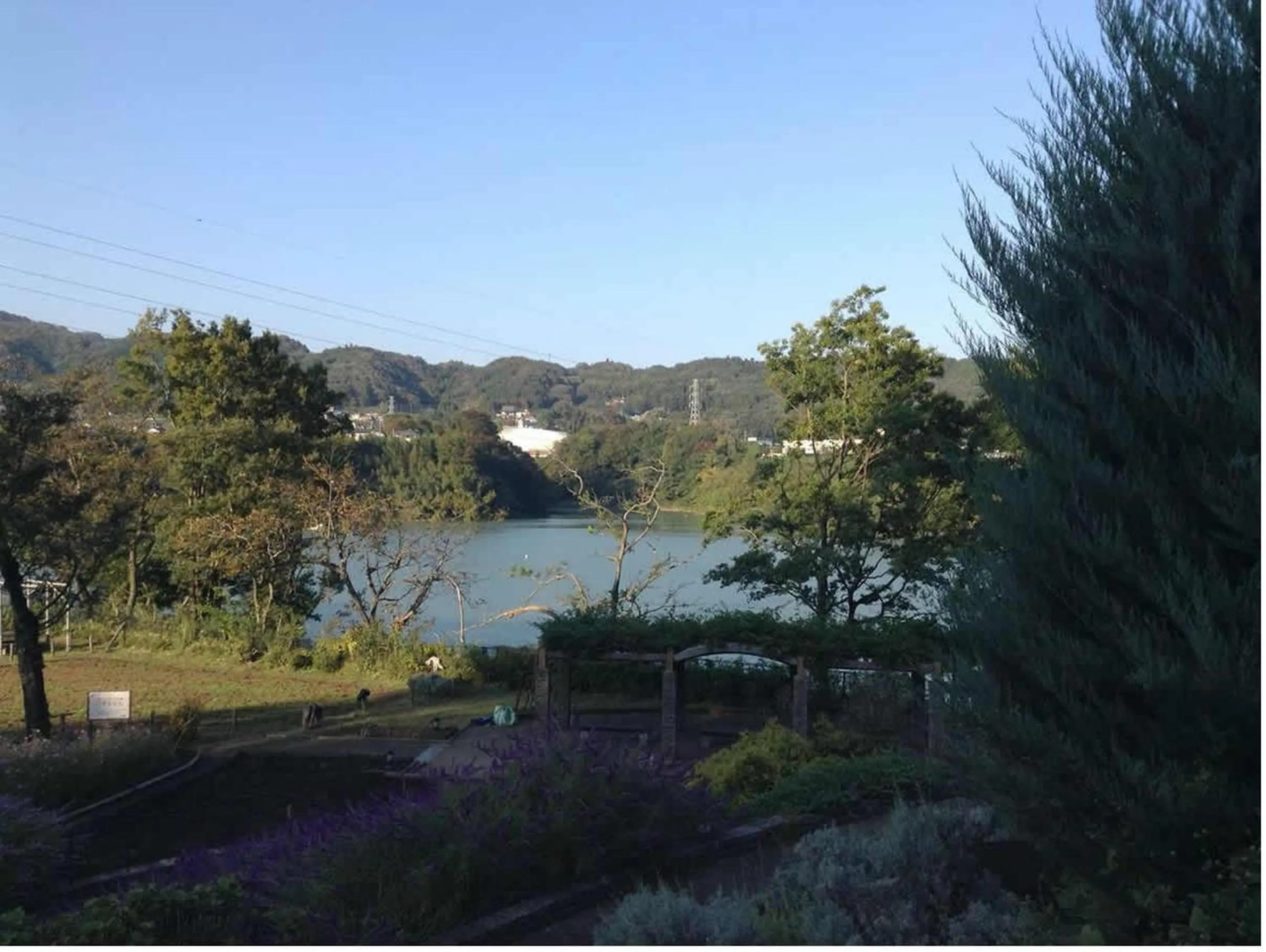 Activities in KOKO STAY Sagamihara - formerly Hotel Wing International Sagamihara