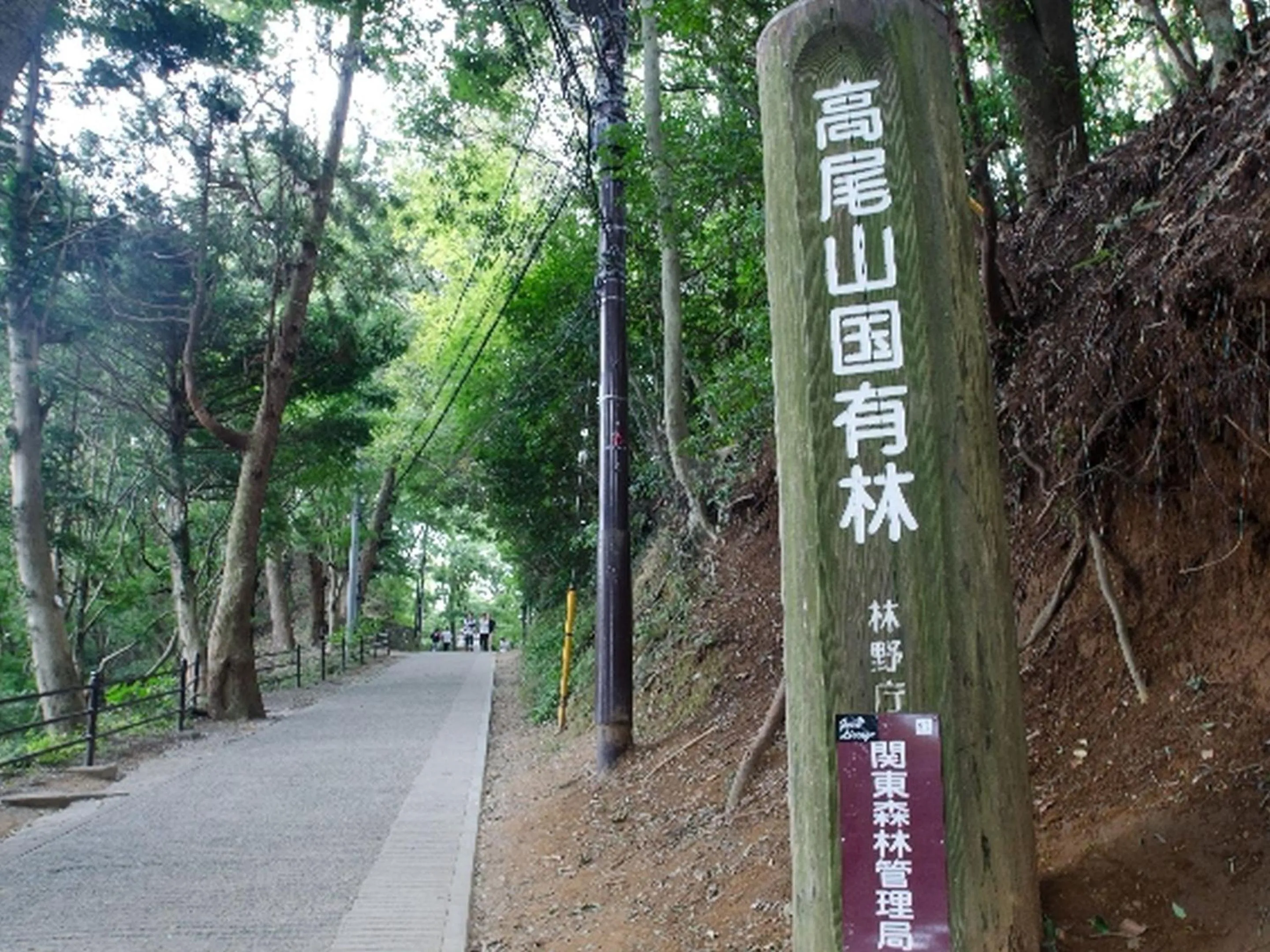 Activities in KOKO STAY Sagamihara - formerly Hotel Wing International Sagamihara