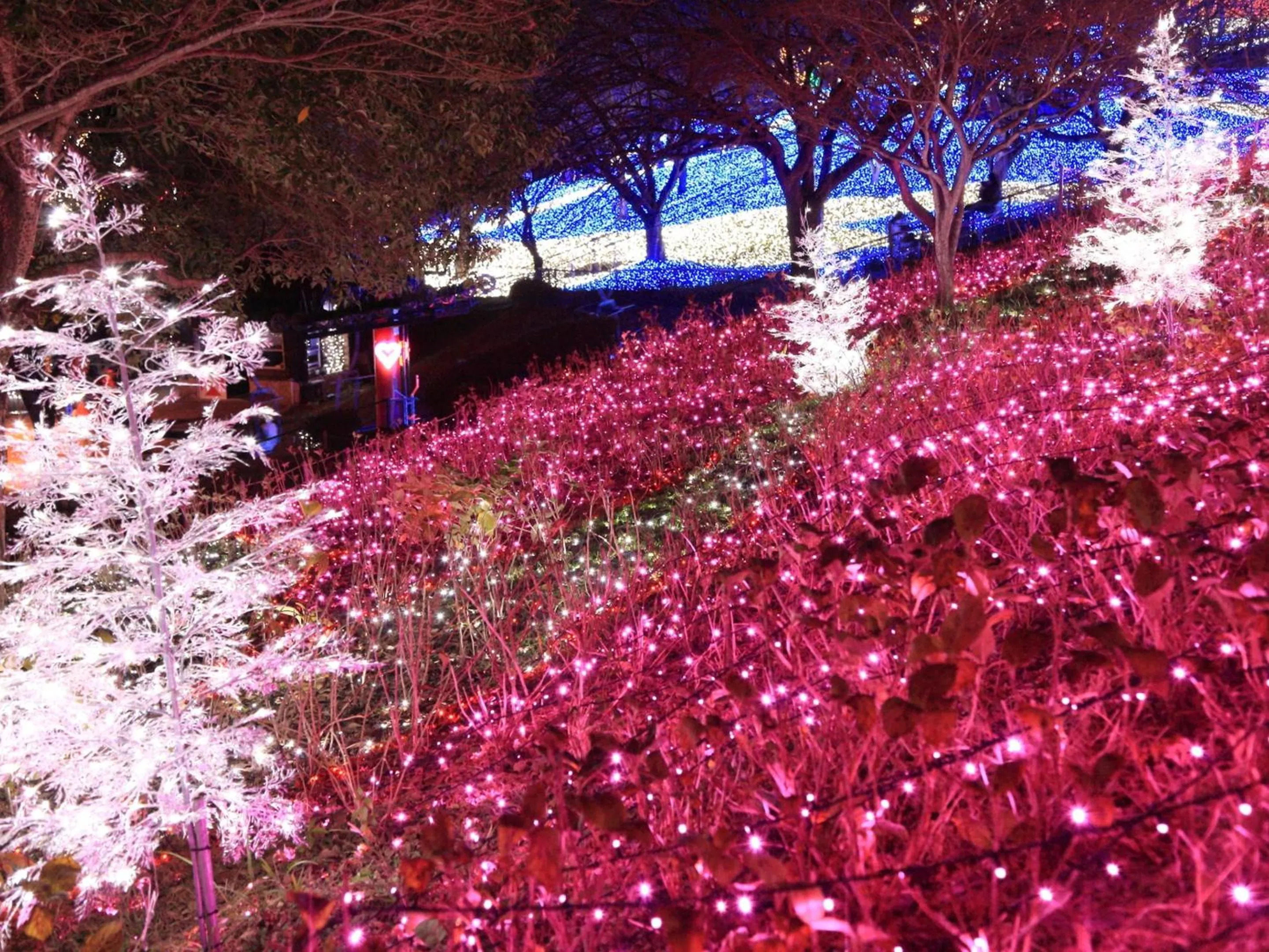 Activities in KOKO STAY Sagamihara - formerly Hotel Wing International Sagamihara