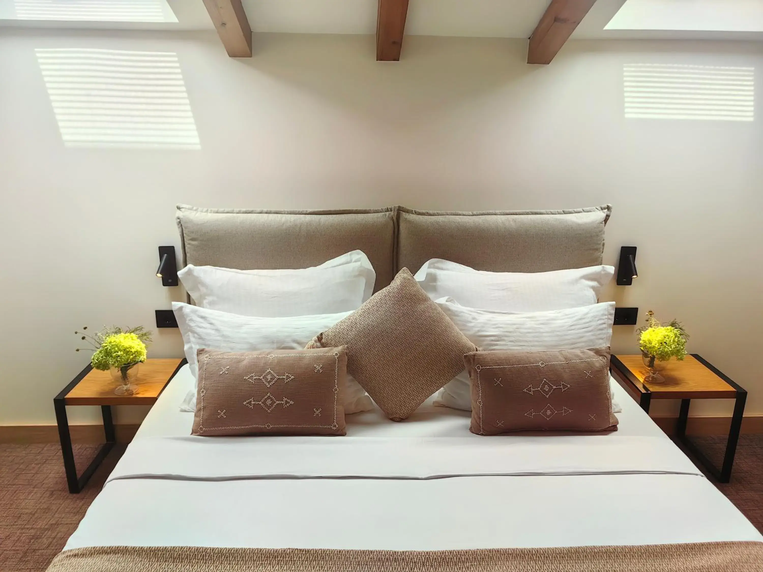 Double Room in Chateau Copsa Complex Double Room in Chateau Copsa Complex