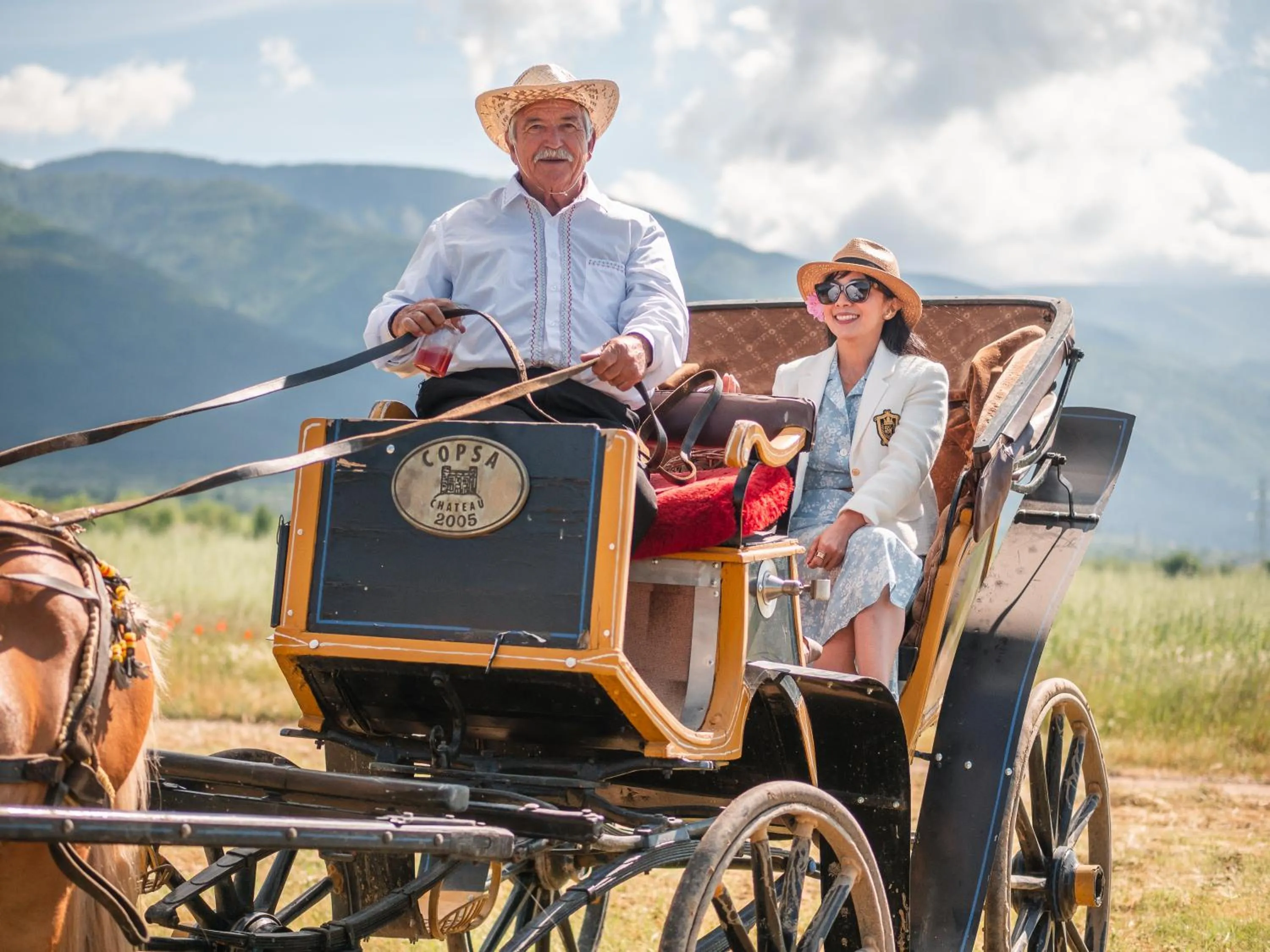 Entertainment in Chateau Copsa Complex