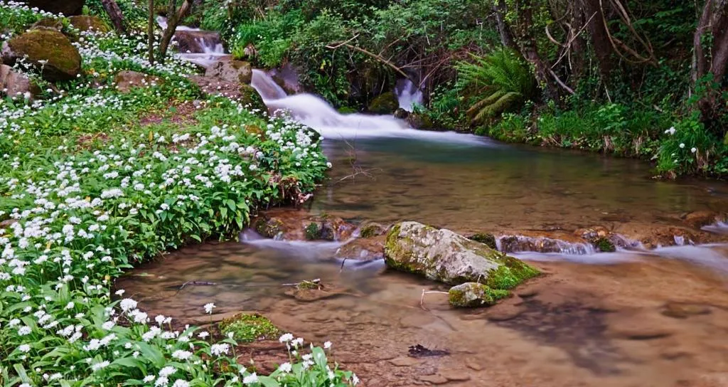 Natural landscape in Fonda Finet