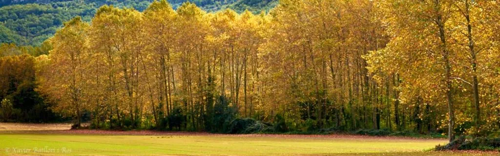 Natural landscape in Fonda Finet