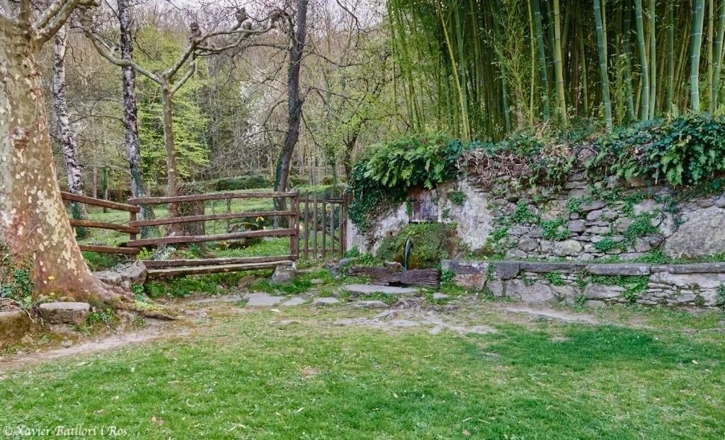 Natural landscape in Fonda Finet