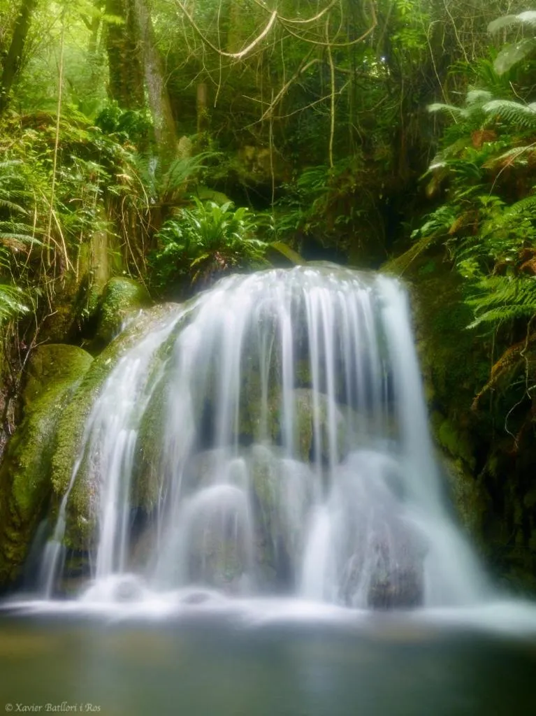 Natural landscape in Fonda Finet