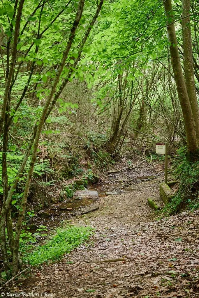 Natural landscape in Fonda Finet