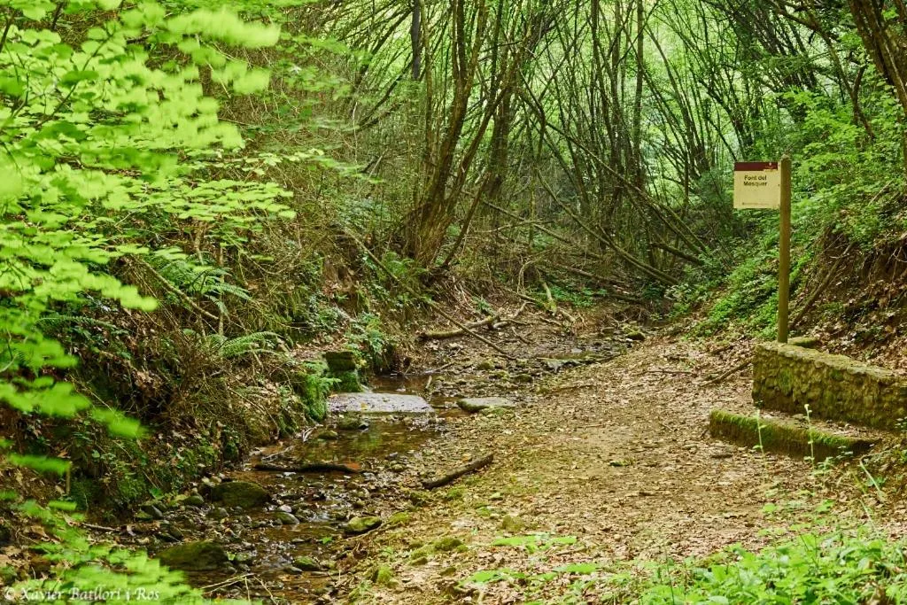 Natural landscape in Fonda Finet