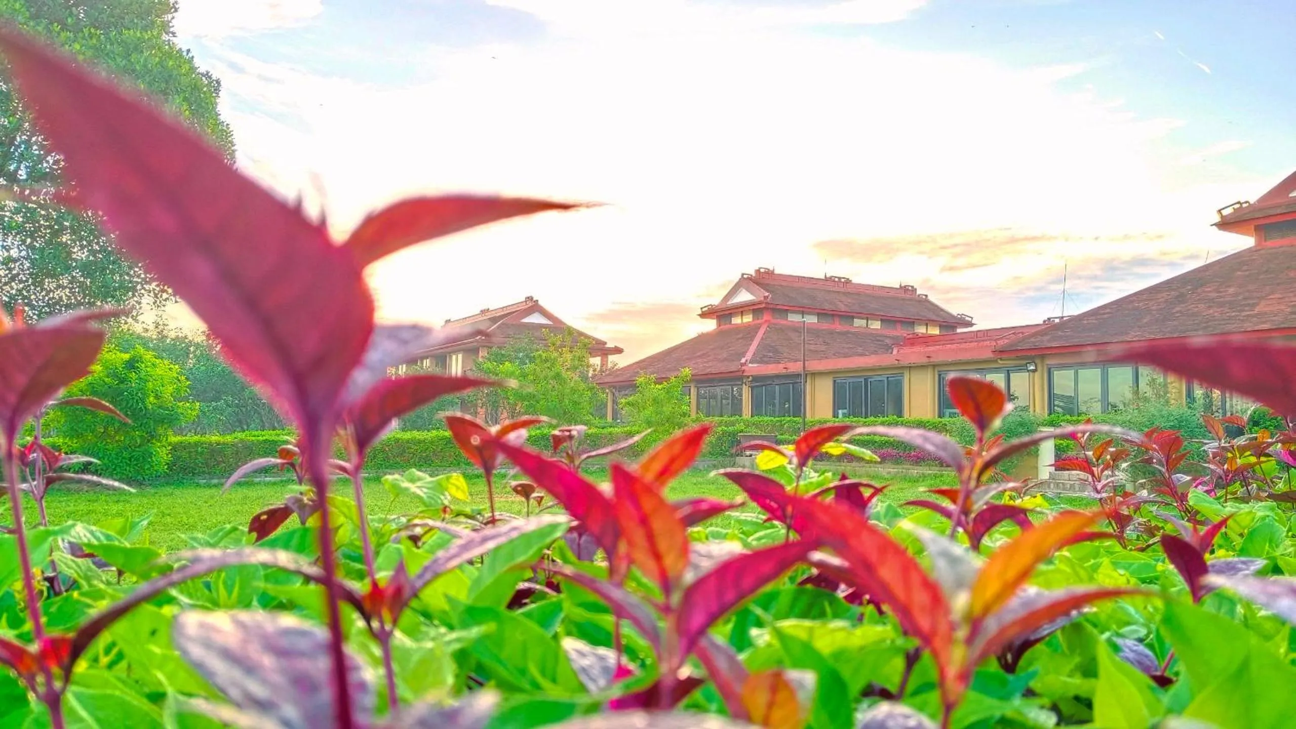 Restaurant/places to eat in Hue Riverside Boutique Resort & Spa