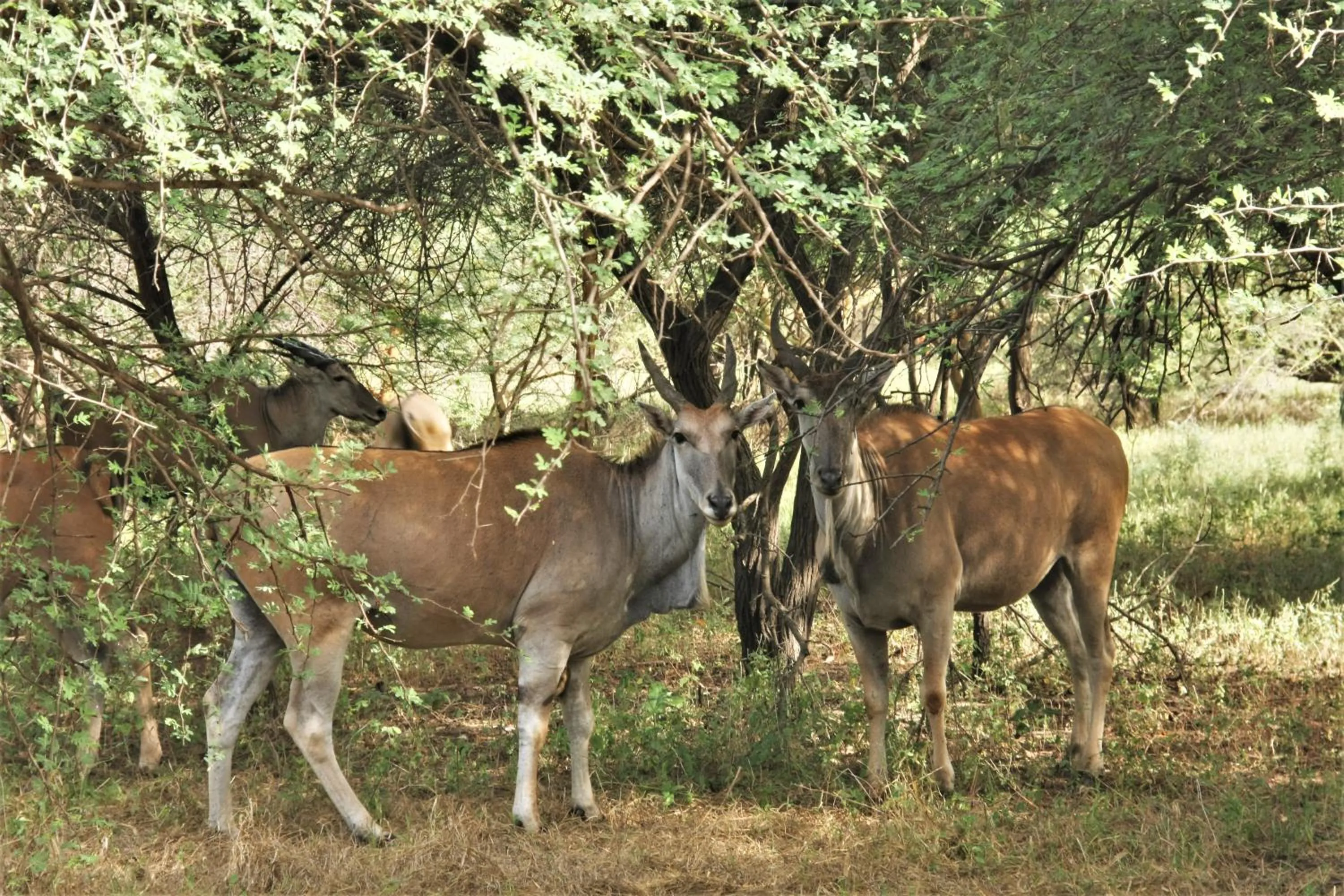 Area and facilities in Africa 6 Plage