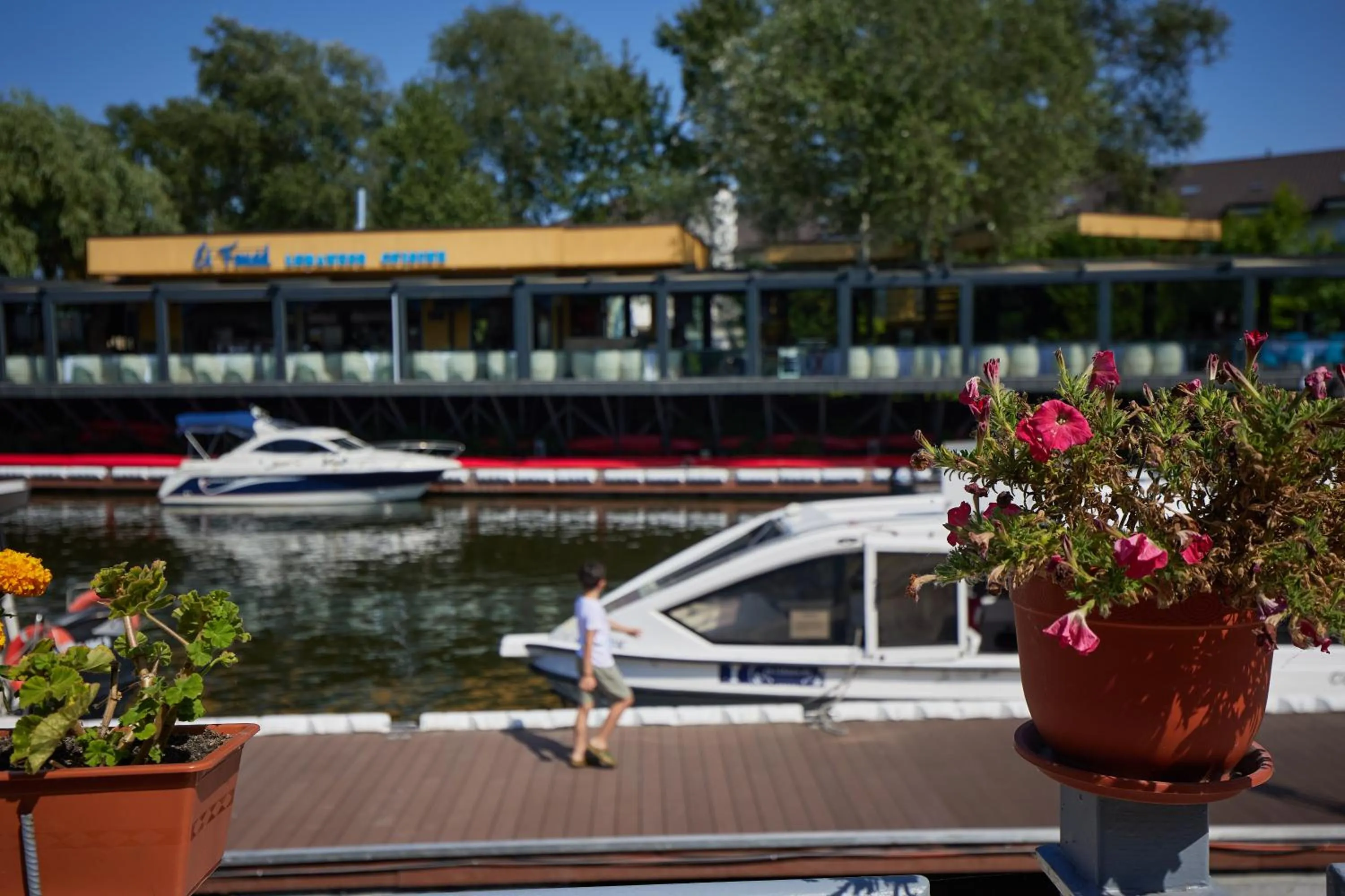 Restaurant/places to eat in Lebada Luxury Resort & Spa