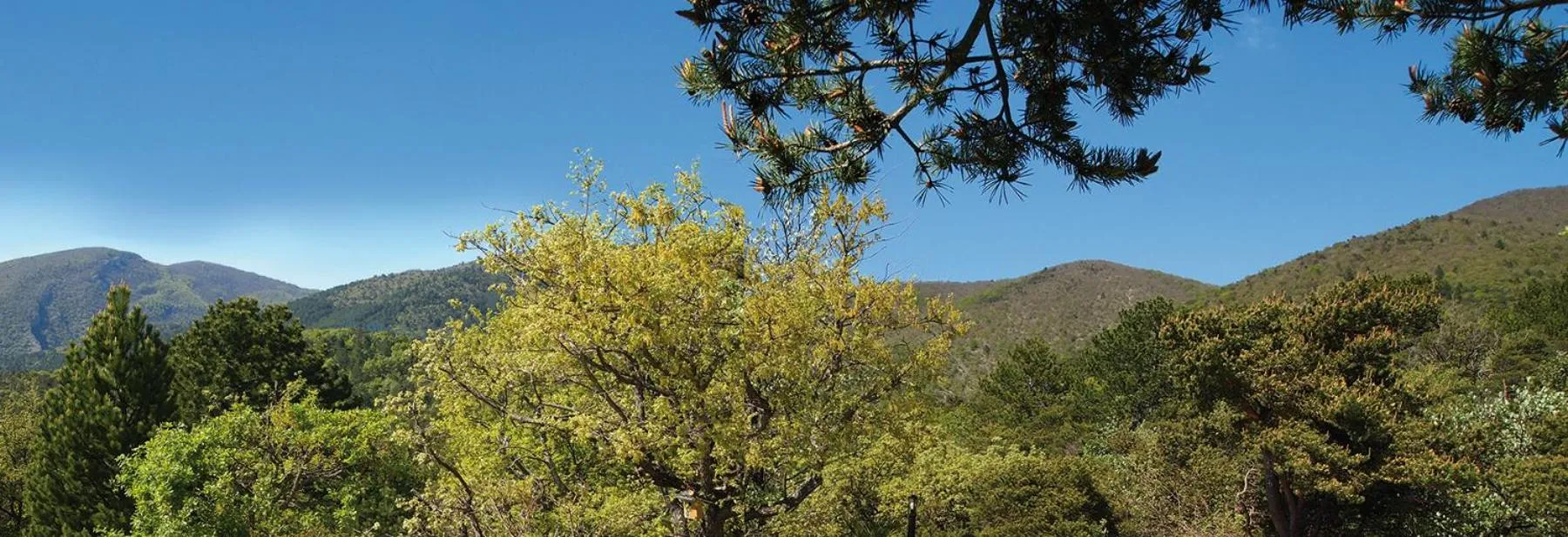 Swimming pool in Le Mapillon