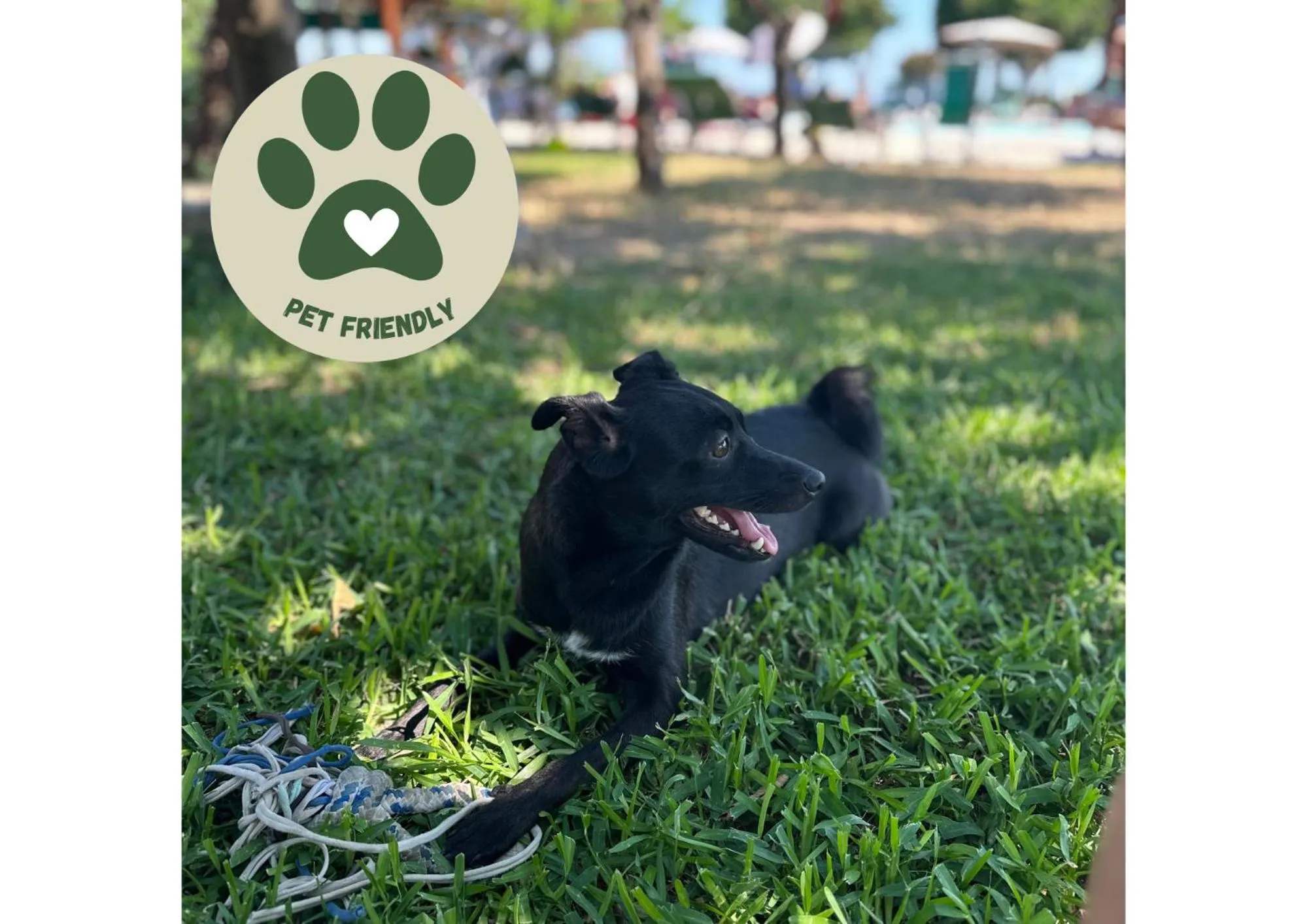 Natural landscape in Tenuta Villa Tara