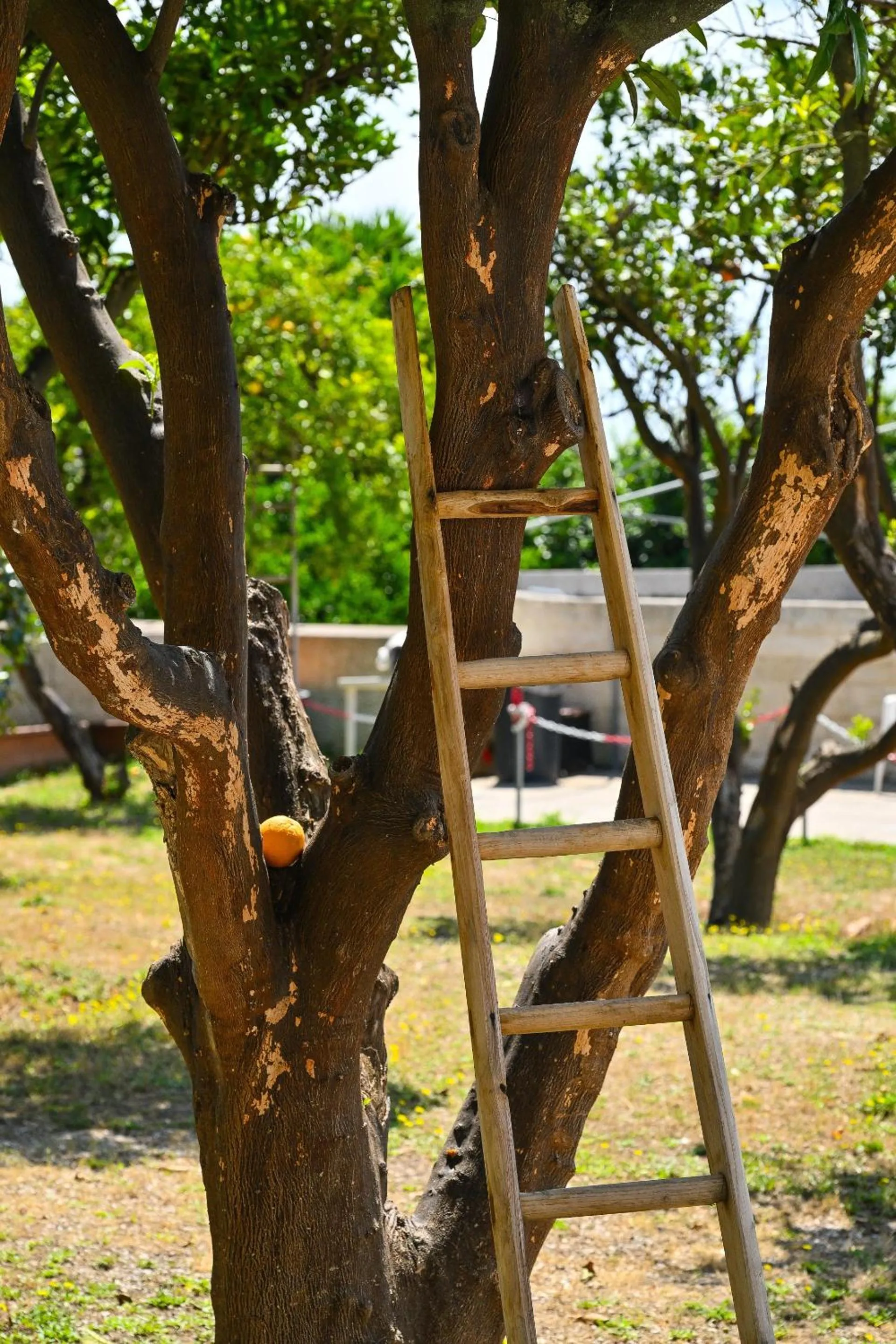Property building in Tenuta Villa Tara