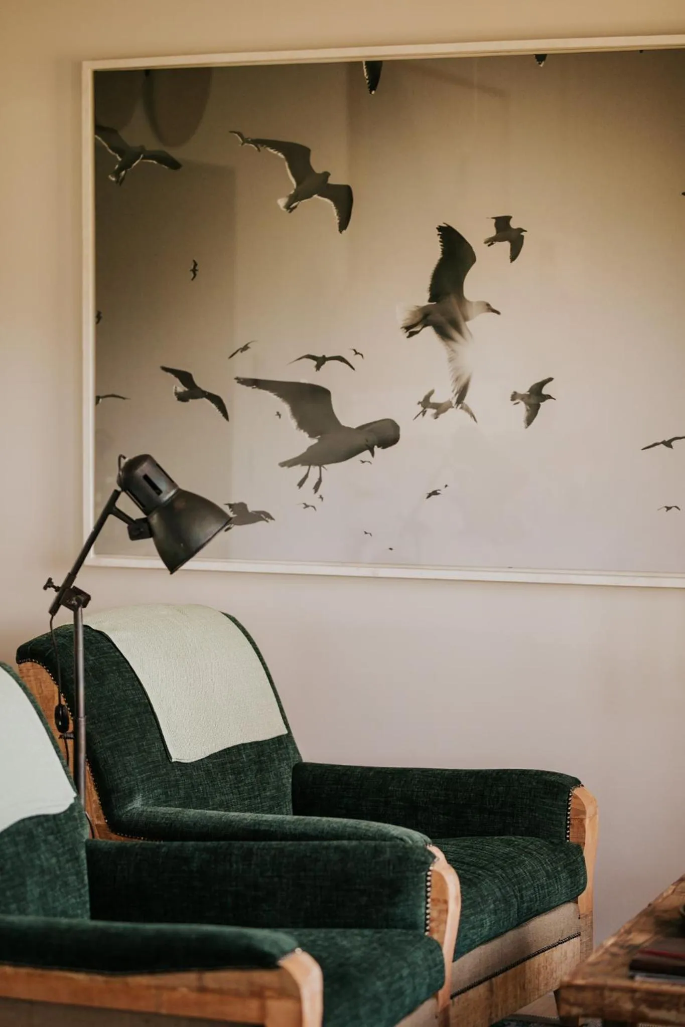 Emily Moon River Lodge