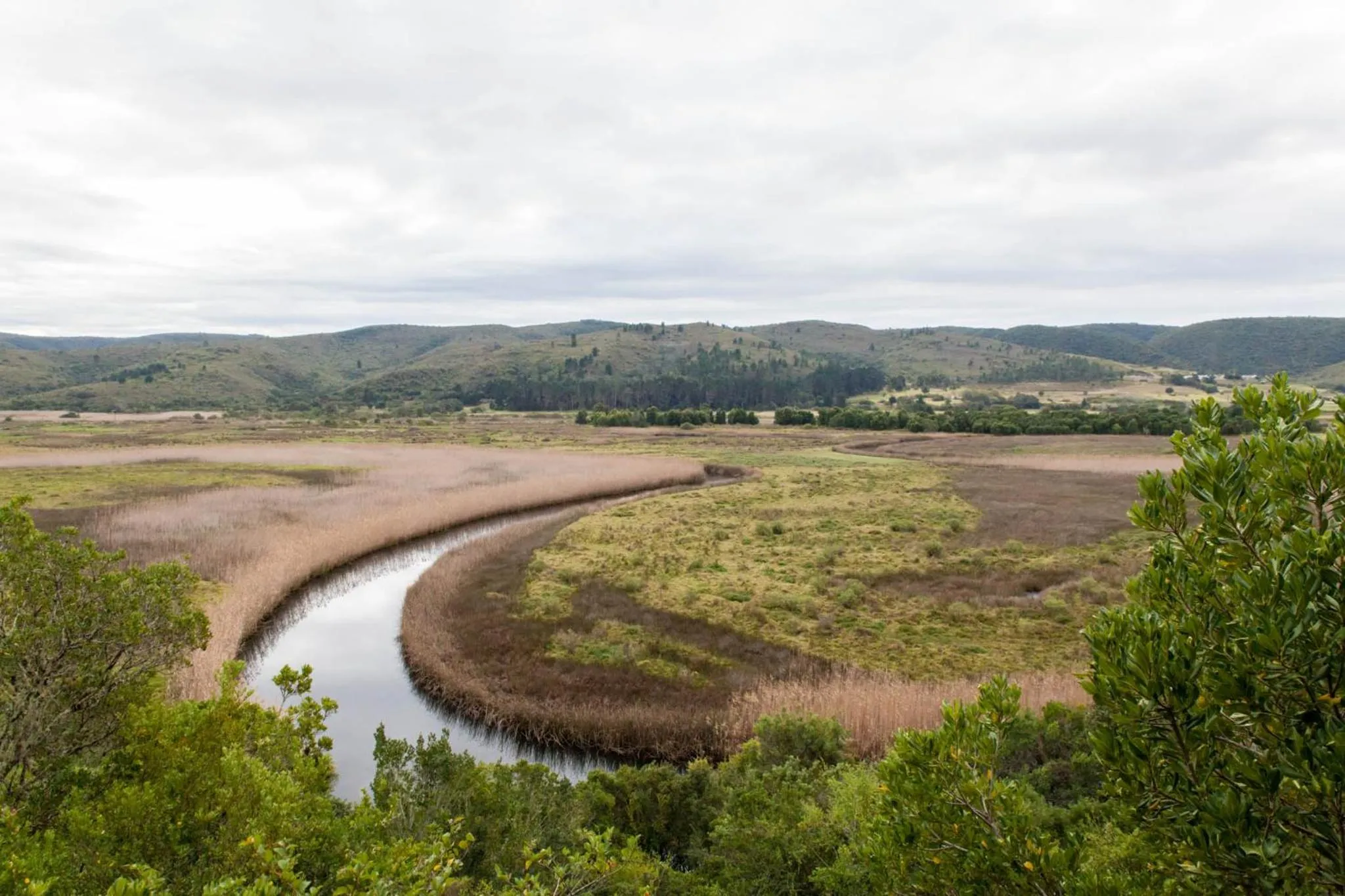 Emily Moon River Lodge