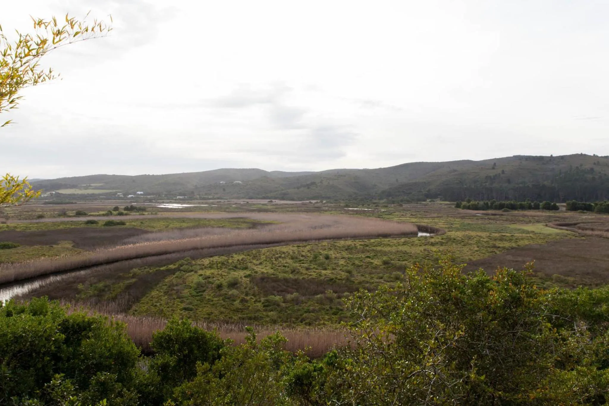 Emily Moon River Lodge