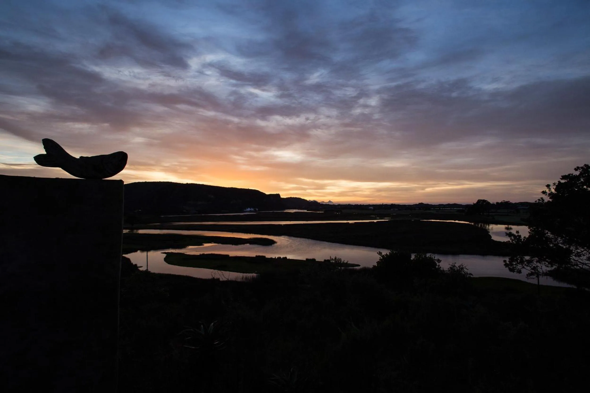 River view in Emily Moon River Lodge