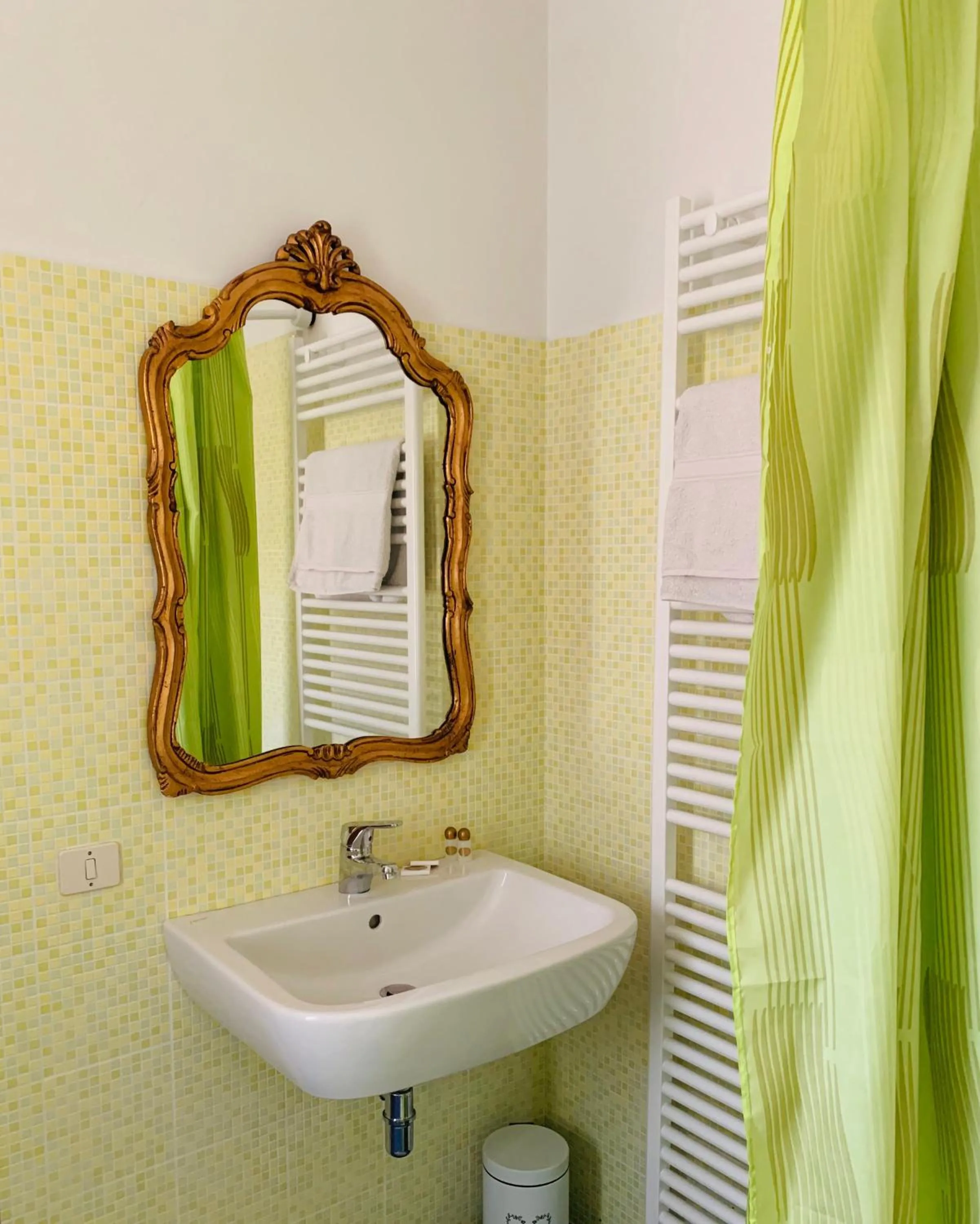 Shower in Locanda Toronto