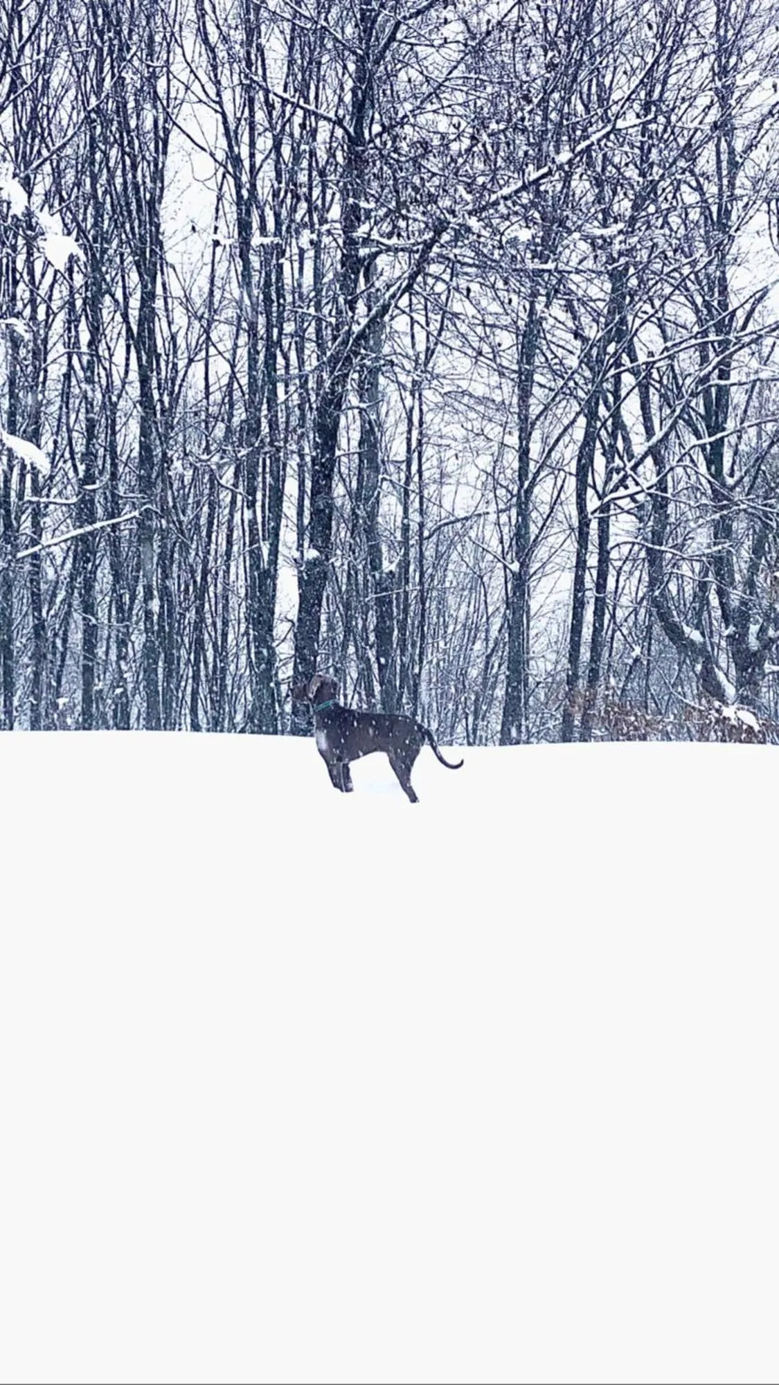 Winter in Balneum Boutique Hotel & B&B