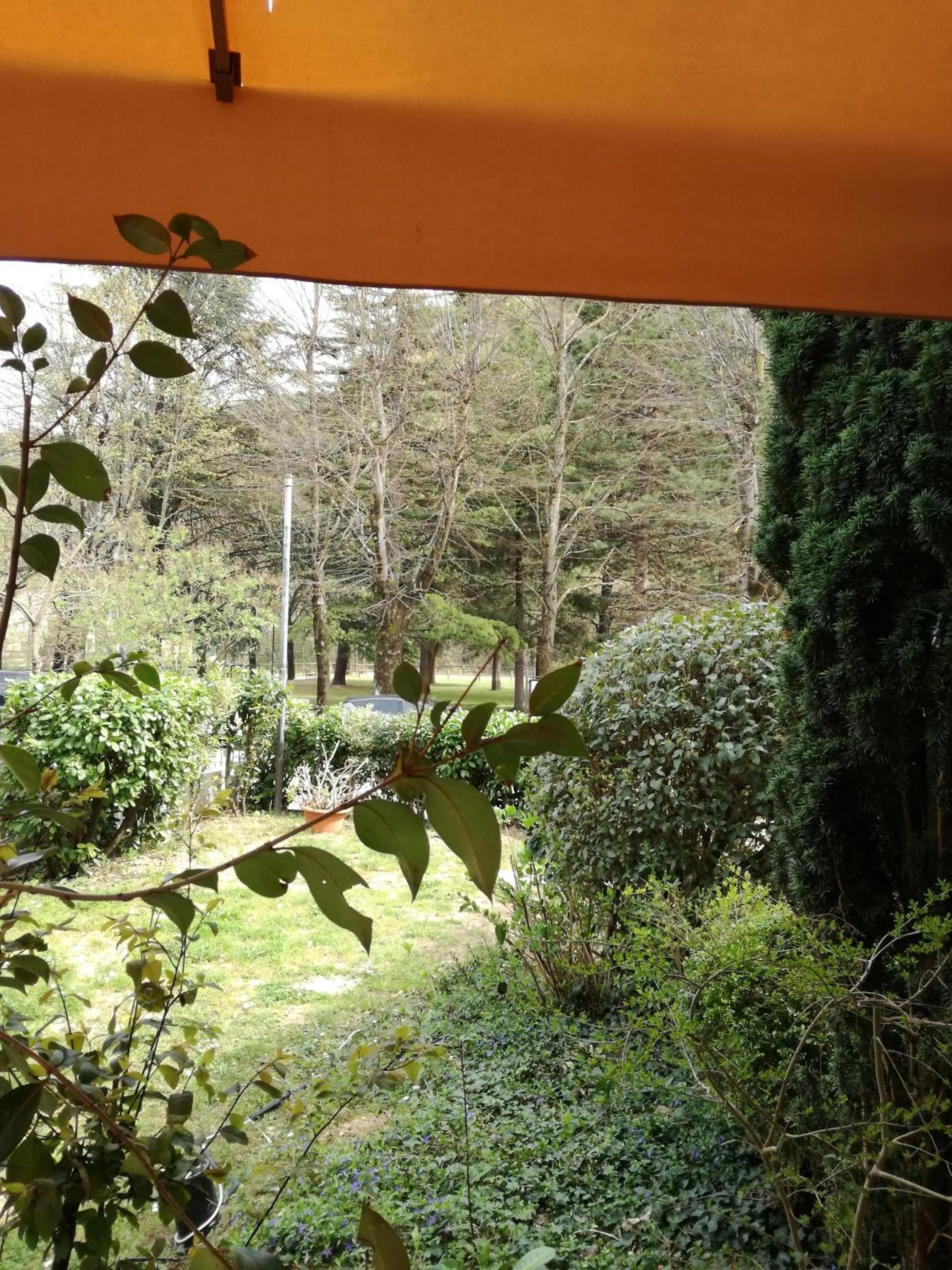 Garden in Balneum Boutique Hotel & B&B